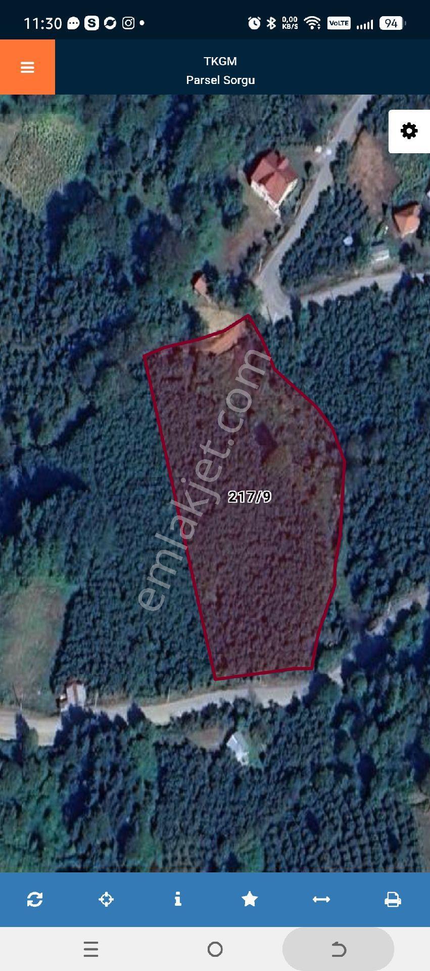 Düzce Gölyaka Sacmalıpınar Köyünde 8.243 M2 Tarla Satılık - Görsel 2