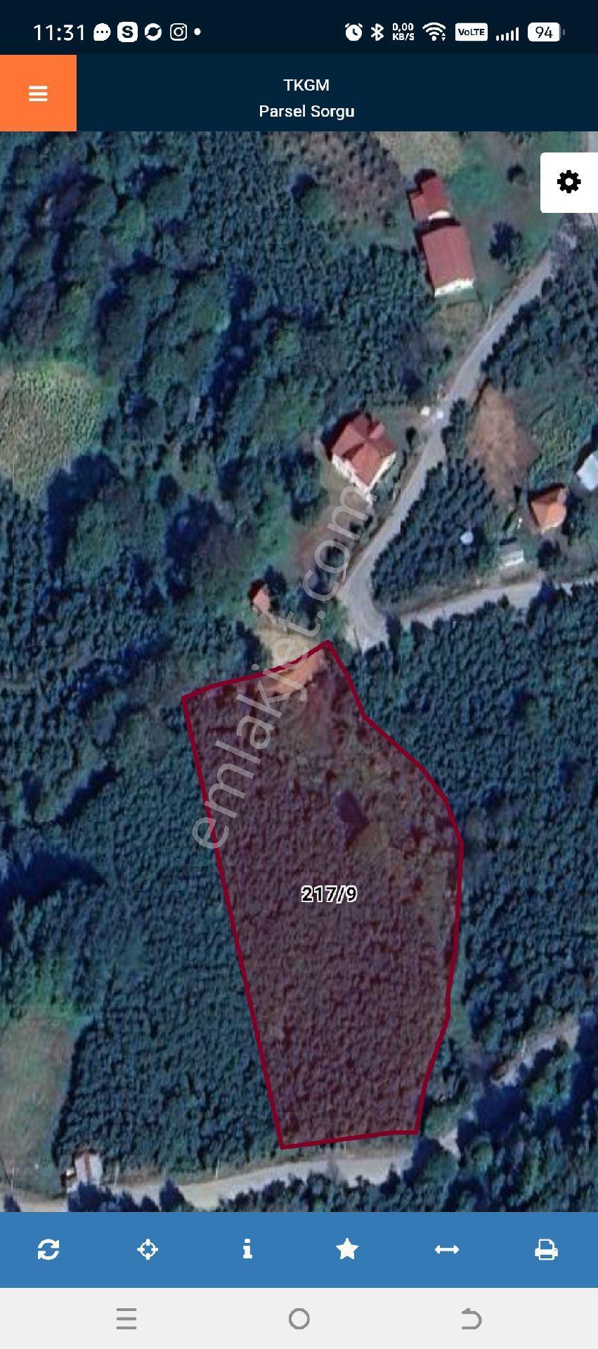 Düzce Gölyaka Sacmalıpınar Köyünde 8.243 M2 Tarla Satılık - Görsel 5