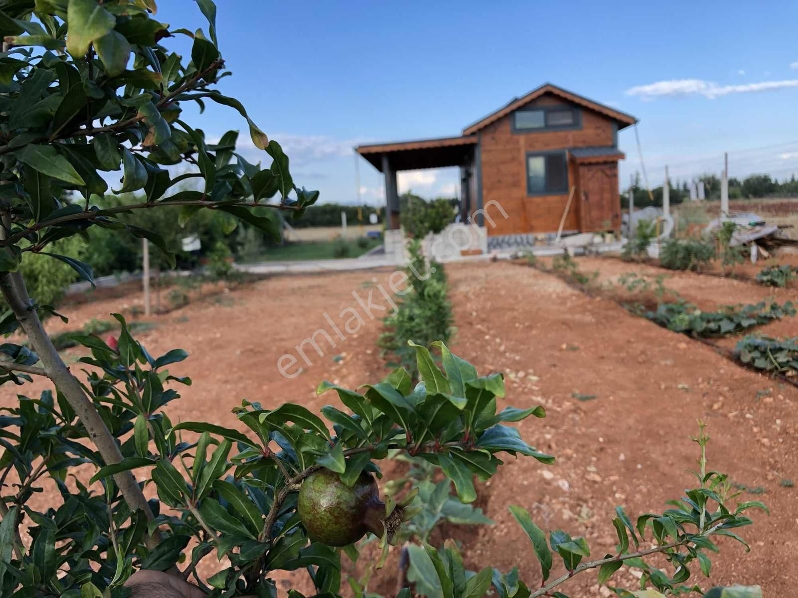 451m2 İmarlı Arsa Üzerinde Ahşap Ev Şehire Yakın Doğa Yaşamı - Görsel 27