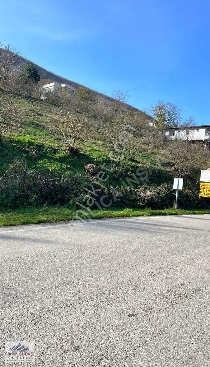 Çamlıcadan Yola Cephe Köyün Girişinde Satılık Mantıklı Tarla - Görsel 3