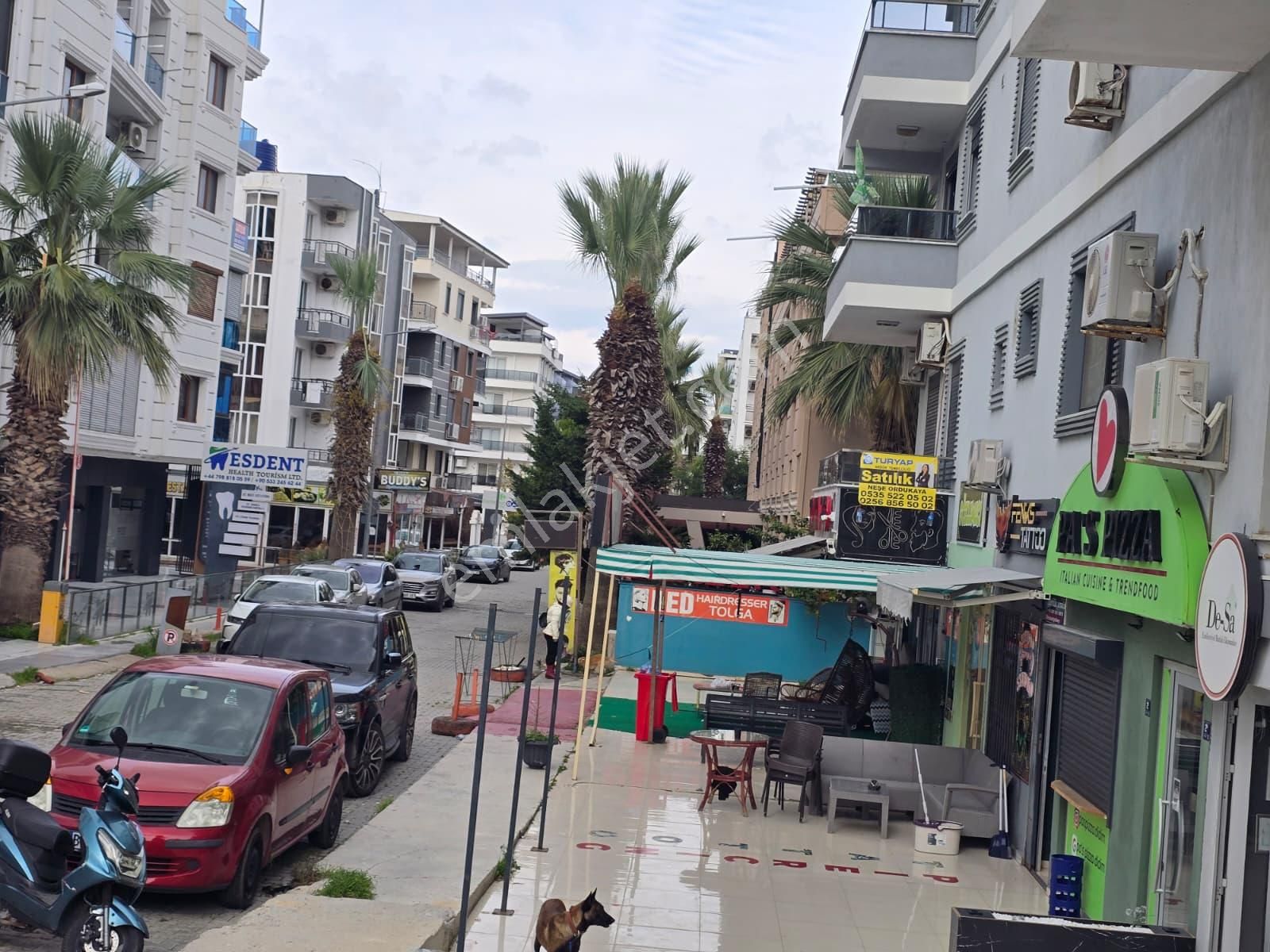 Didim Altınkum'da Denize 300 Metre Mesafede 1+1 Asansörlü Daire - Görsel 2