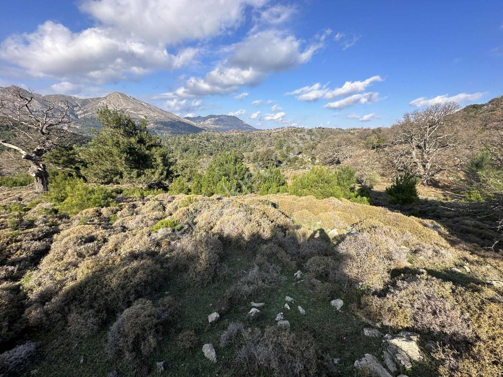 İmroz Emlak'tan Balido Mevkii'de 1.722 M2 Tarla - Görsel 9