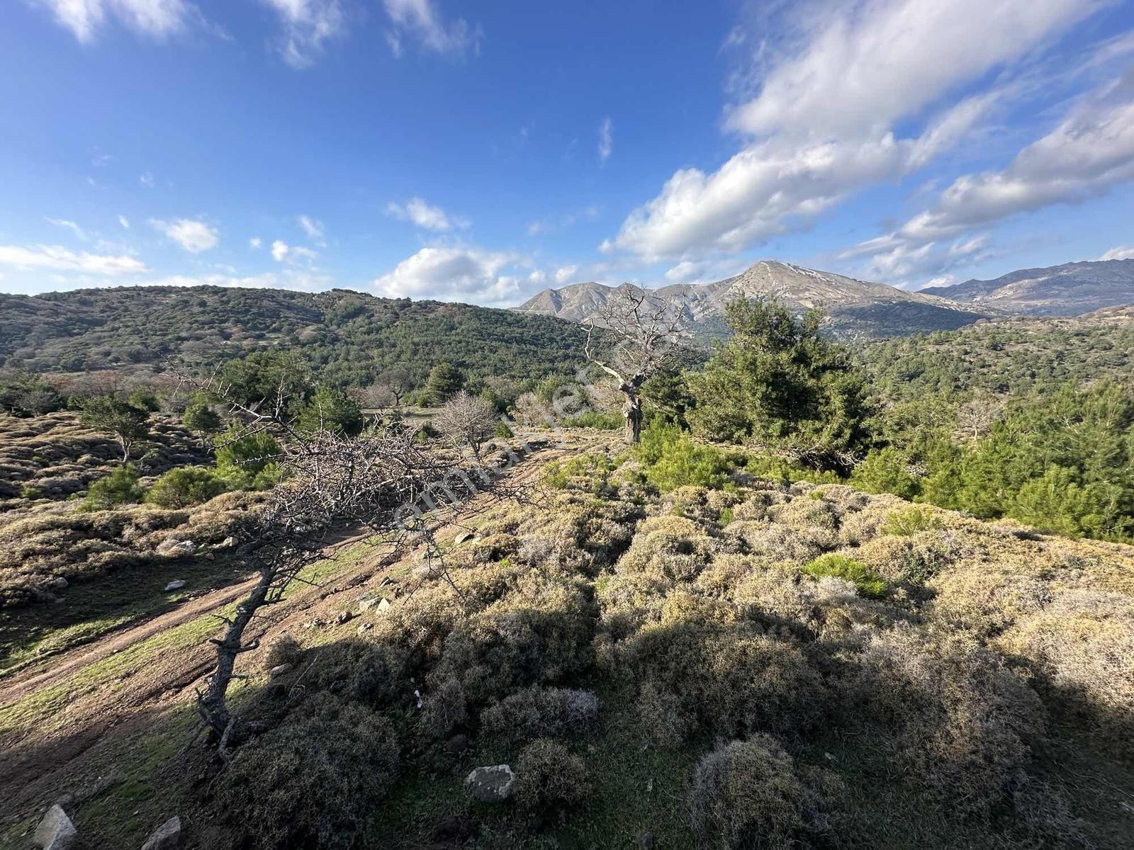 İmroz Emlak'tan Balido Mevkii'de 1.722 M2 Tarla - Görsel 10