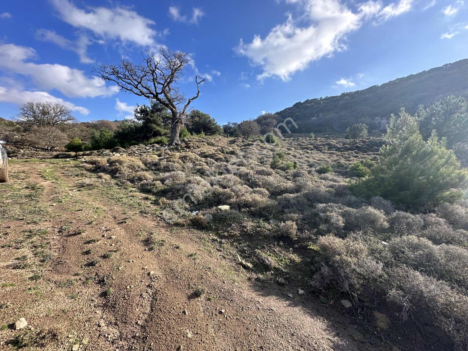 İmroz Emlak'tan Balido Mevkii'de 1.722 M2 Tarla - Görsel 5