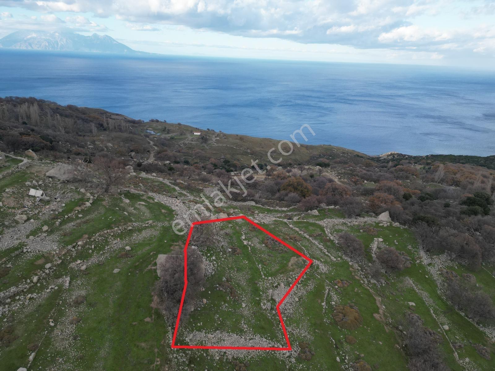 İmroz Emlak'tan Tepeköy Çınar Altında Deniz Manzaralı Arazi - Görsel 3