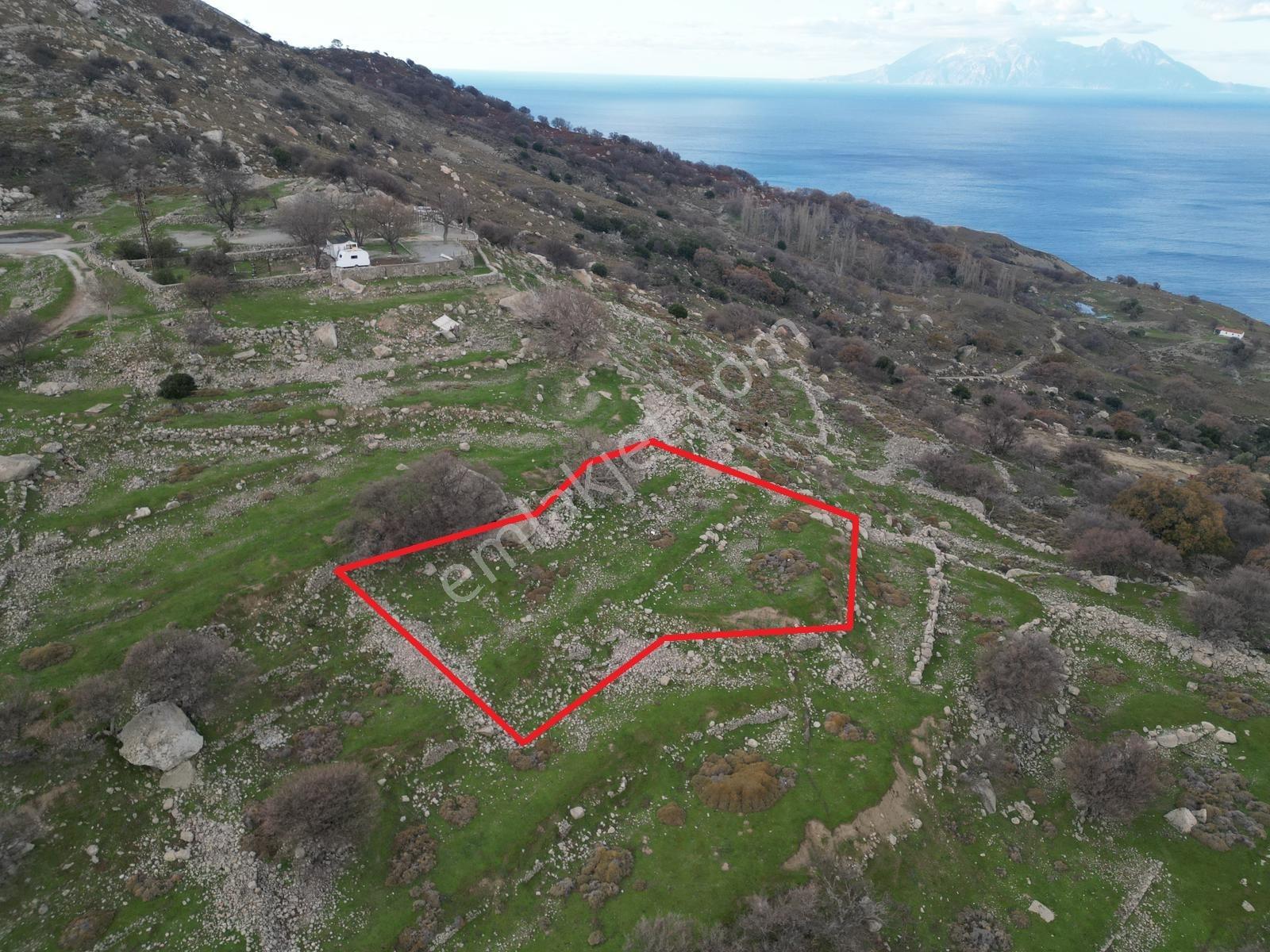 İmroz Emlak'tan Tepeköy Çınar Altında Deniz Manzaralı Arazi - Görsel 13