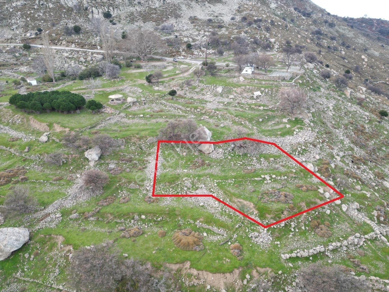 İmroz Emlak'tan Tepeköy Çınar Altında Deniz Manzaralı Arazi - Görsel 4