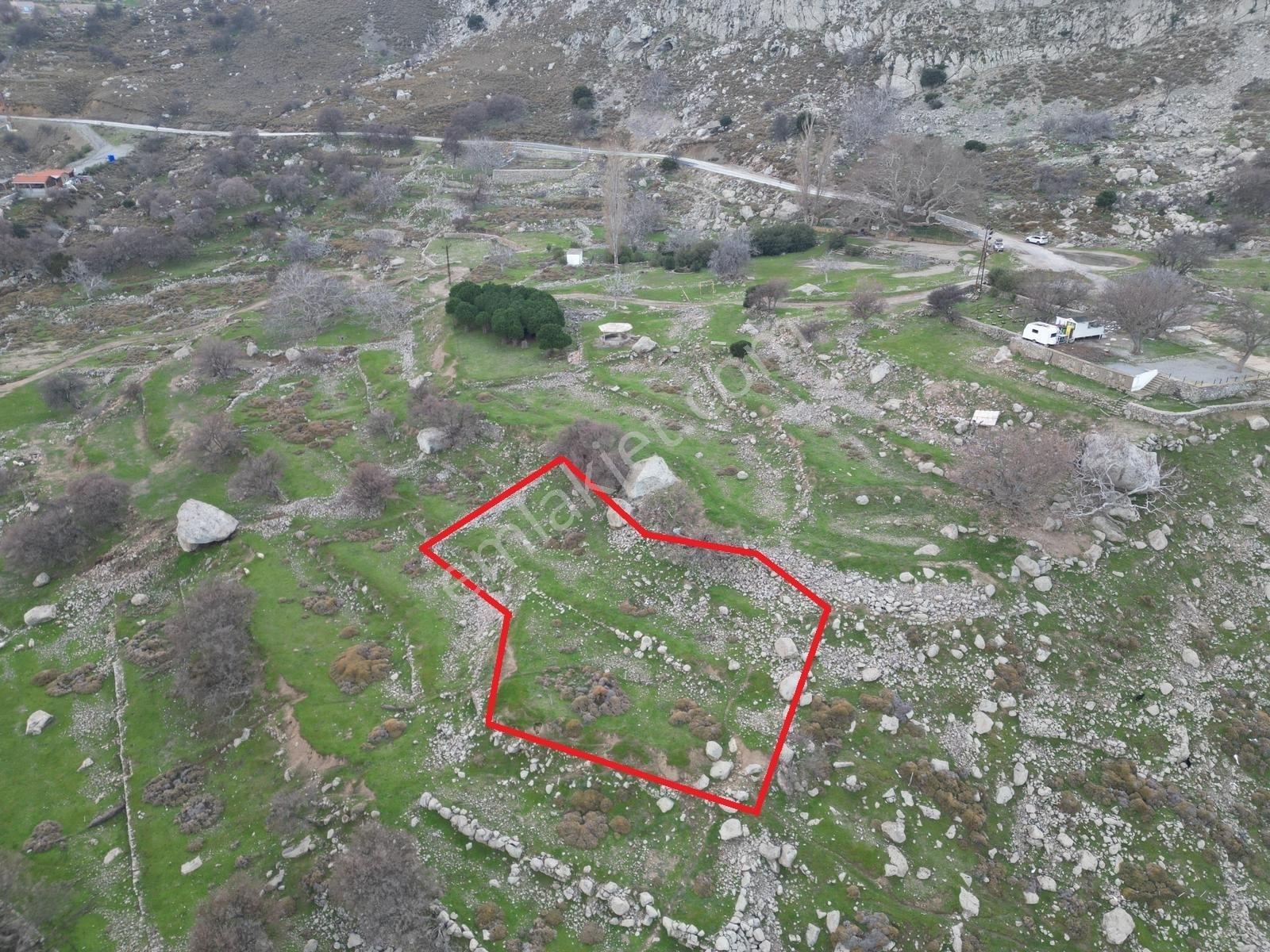 İmroz Emlak'tan Tepeköy Çınar Altında Deniz Manzaralı Arazi - Görsel 3