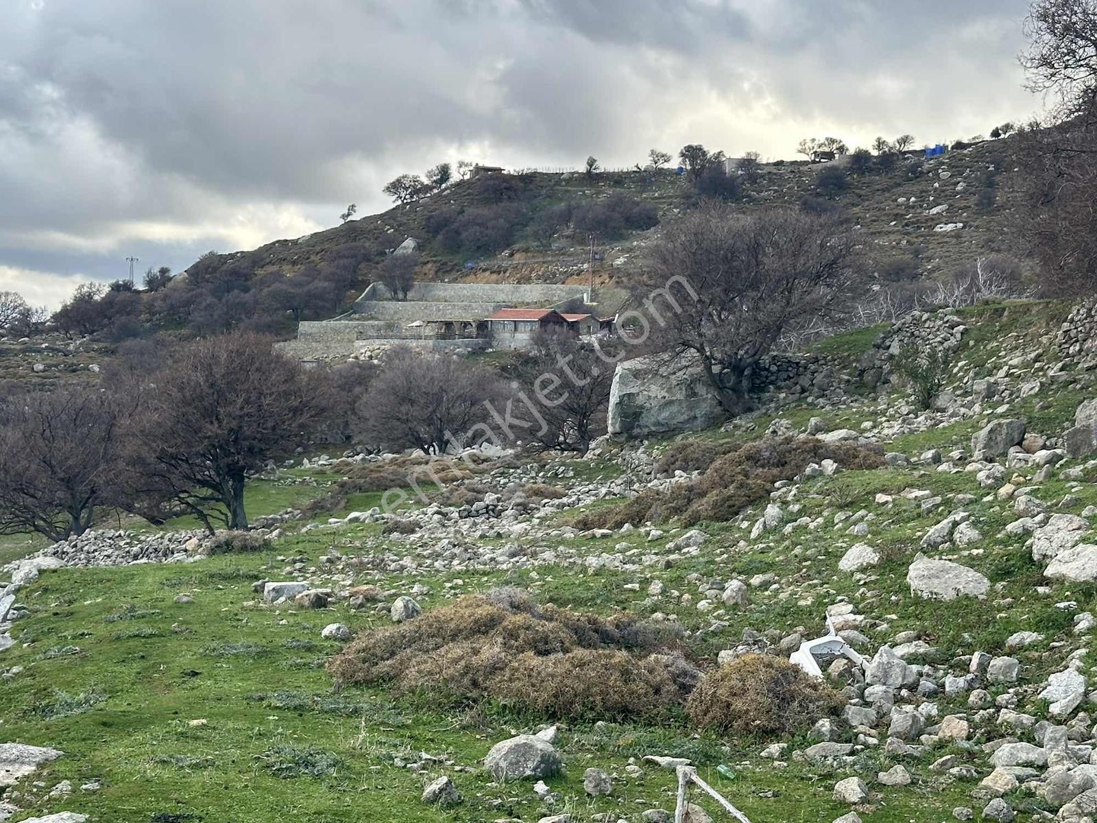 İmroz Emlak'tan Tepeköy Çınar Altında Deniz Manzaralı Arazi - Görsel 7