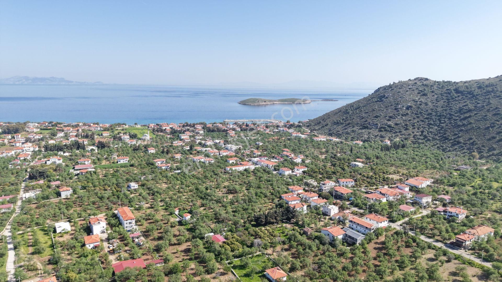 Global Datça: Datça Palamut Bükünde 517m² Arsa - Görsel 14