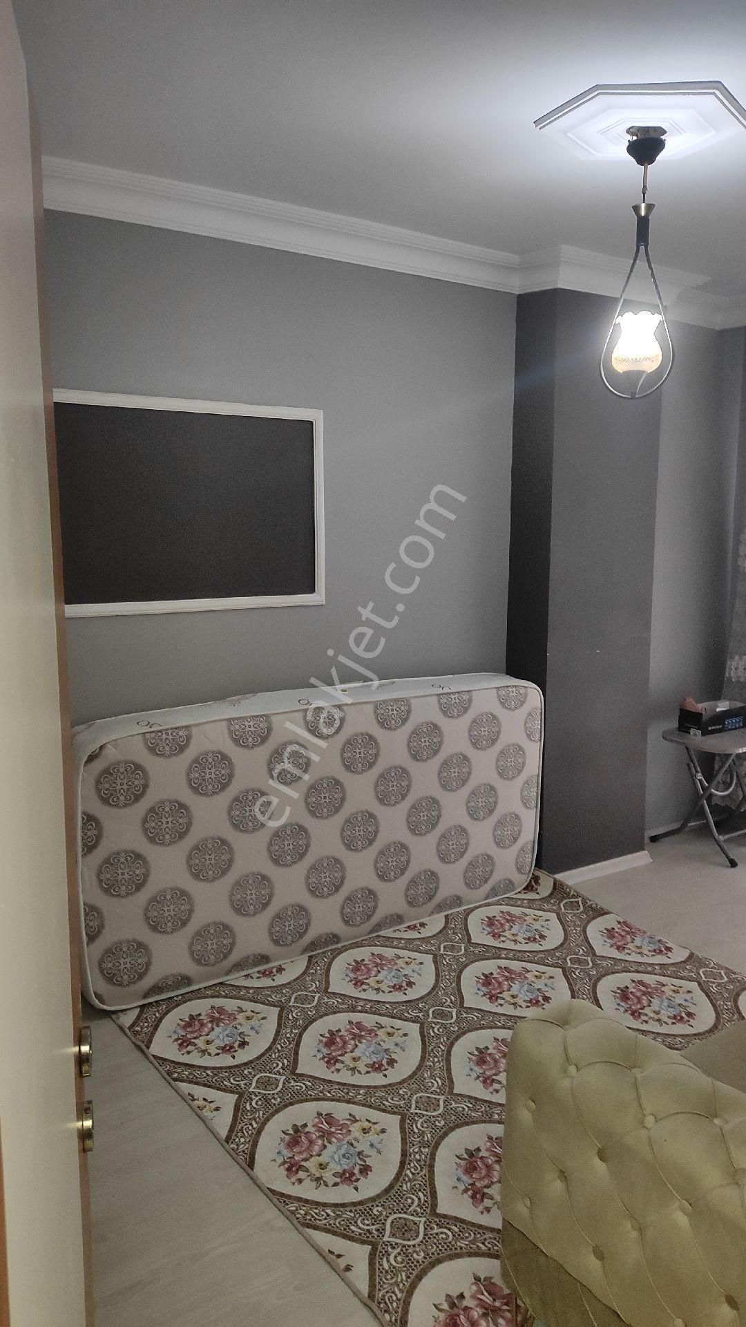 2+1 Kiralık - Görsel 3