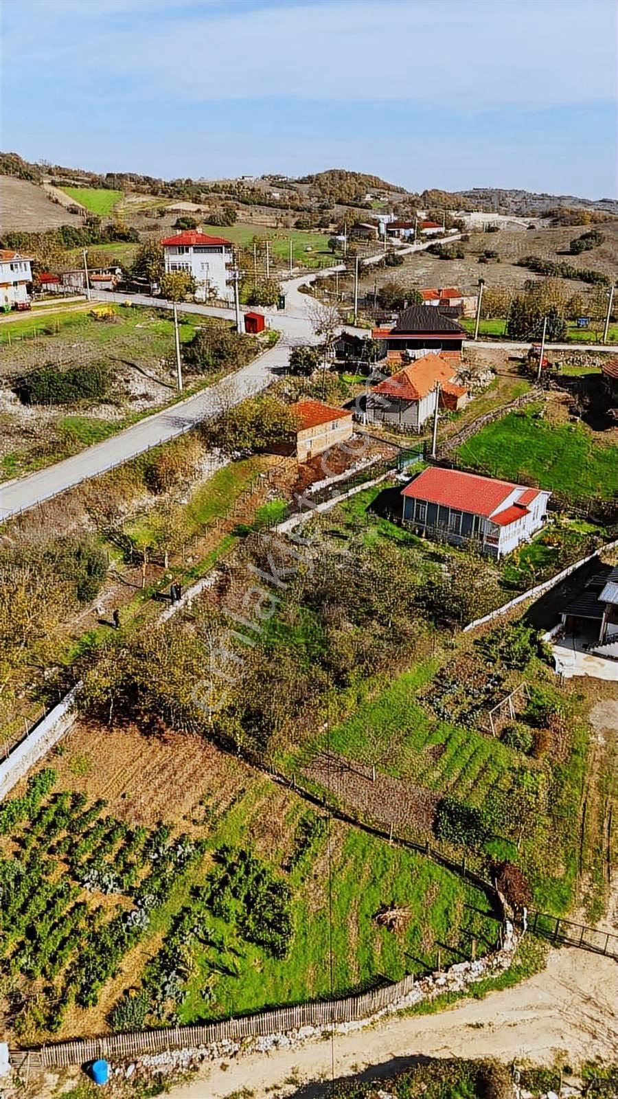 Tarcanlardan Kandıra Çakmaklarda Köyiçi 385 Metre Kare Tarla