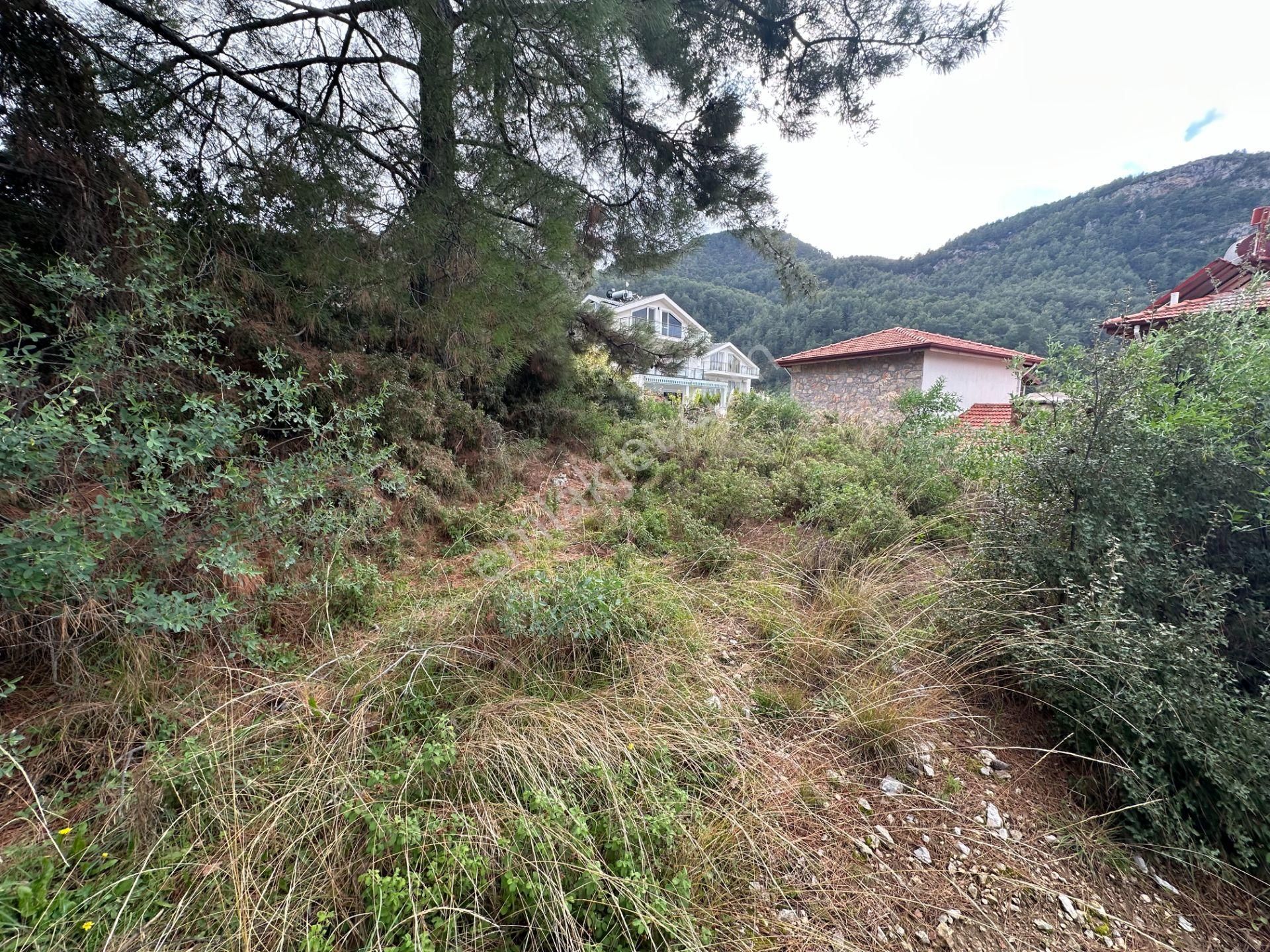 Goldhouse Dan Satılık Üzümlü De 20/40 İmarlı 500 M2 Arsa - Görsel 5