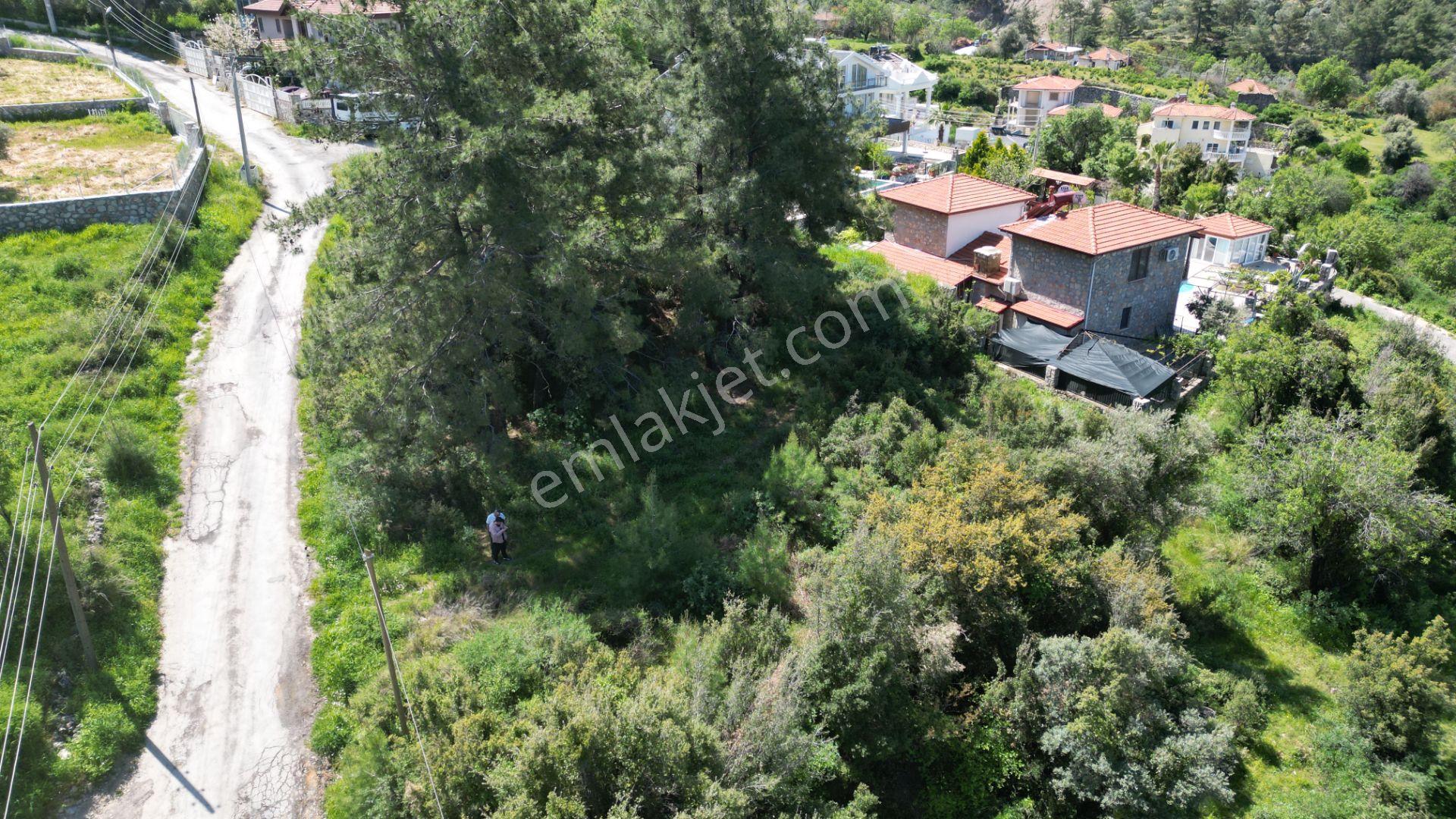 Goldhouse Dan Satılık Üzümlü De 20/40 İmarlı 500 M2 Arsa - Görsel 2