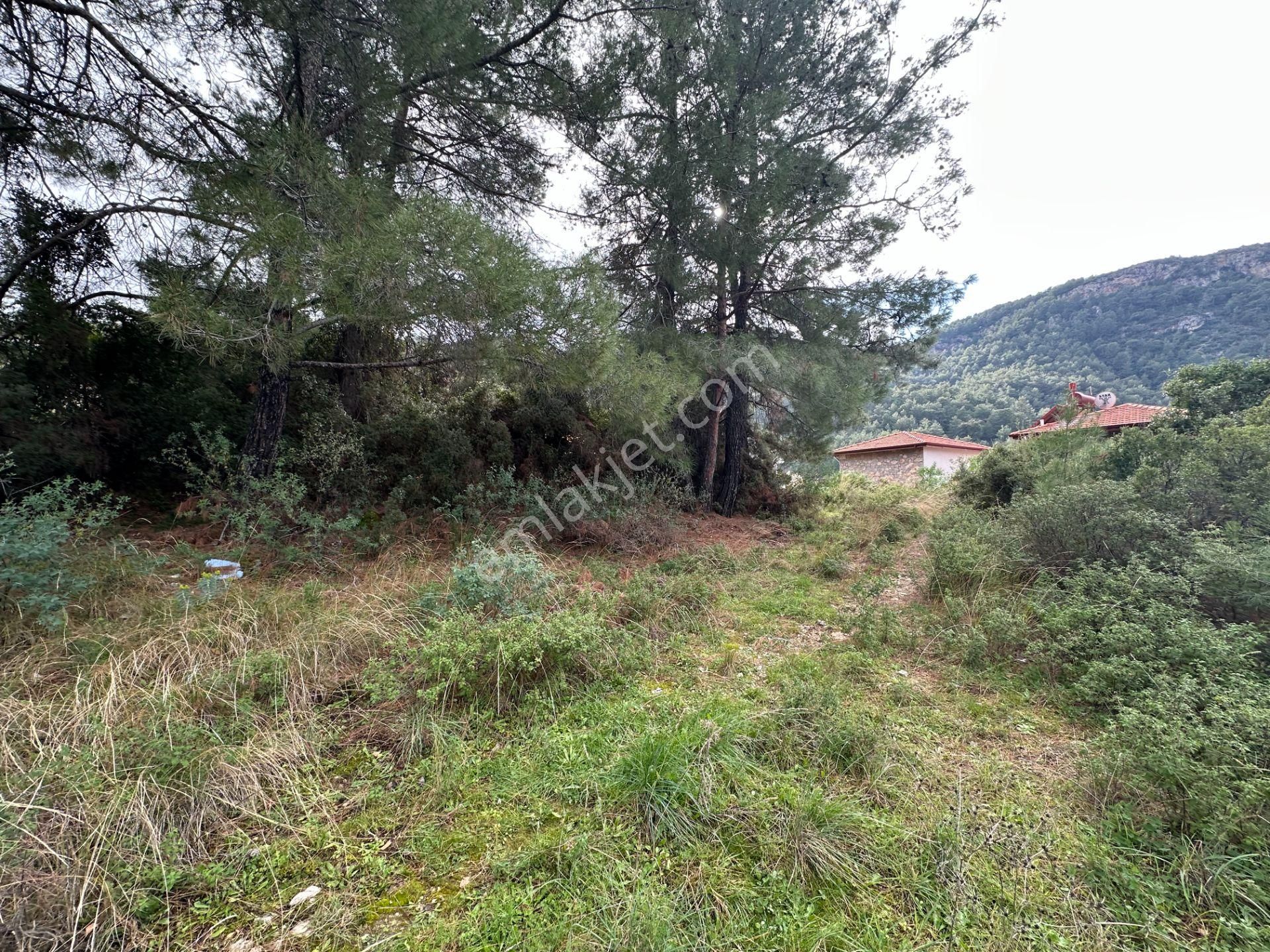 Goldhouse Dan Satılık Üzümlü De 20/40 İmarlı 500 M2 Arsa - Görsel 3