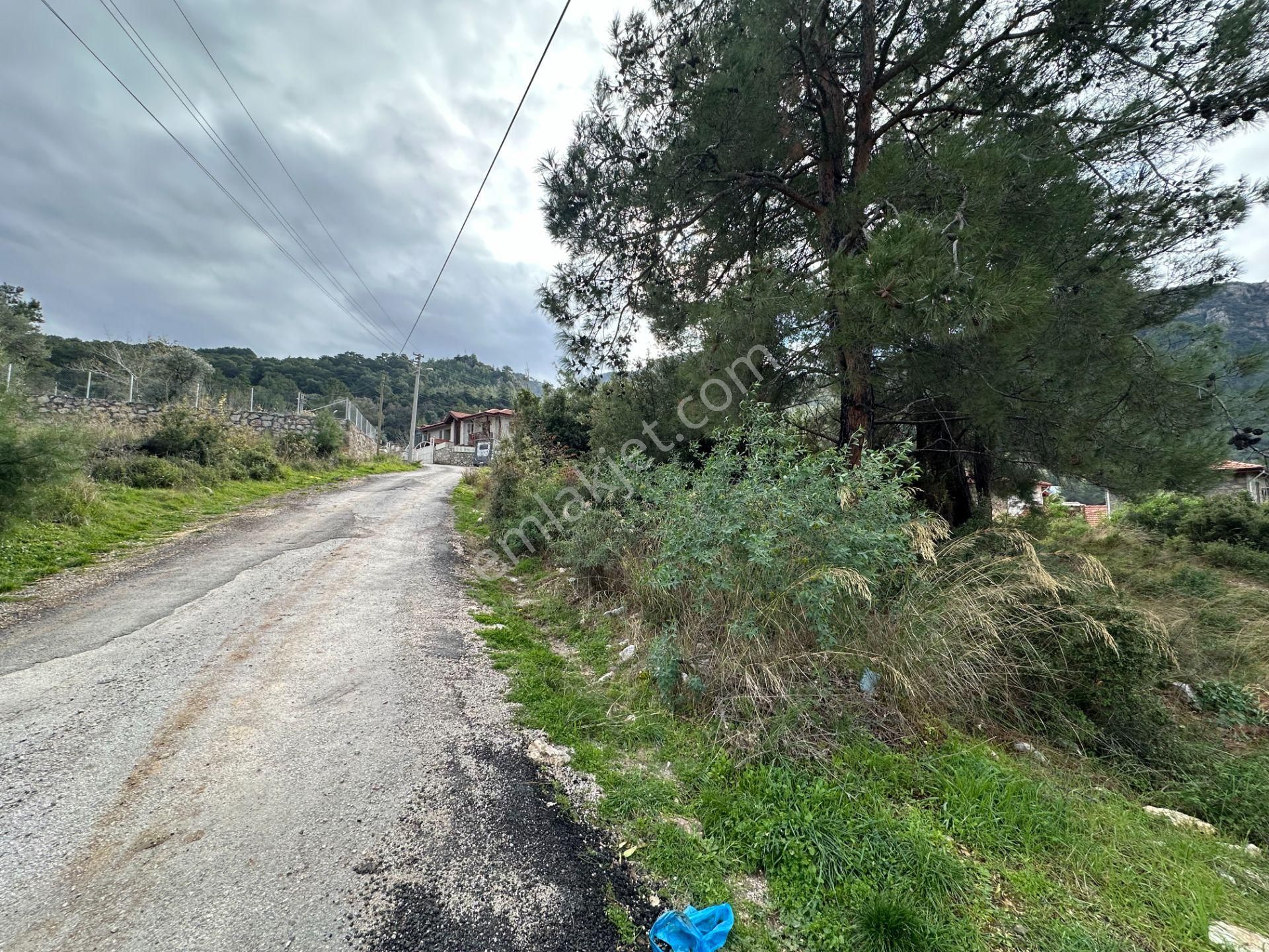 Goldhouse Dan Satılık Üzümlü De 20/40 İmarlı 500 M2 Arsa - Görsel 8