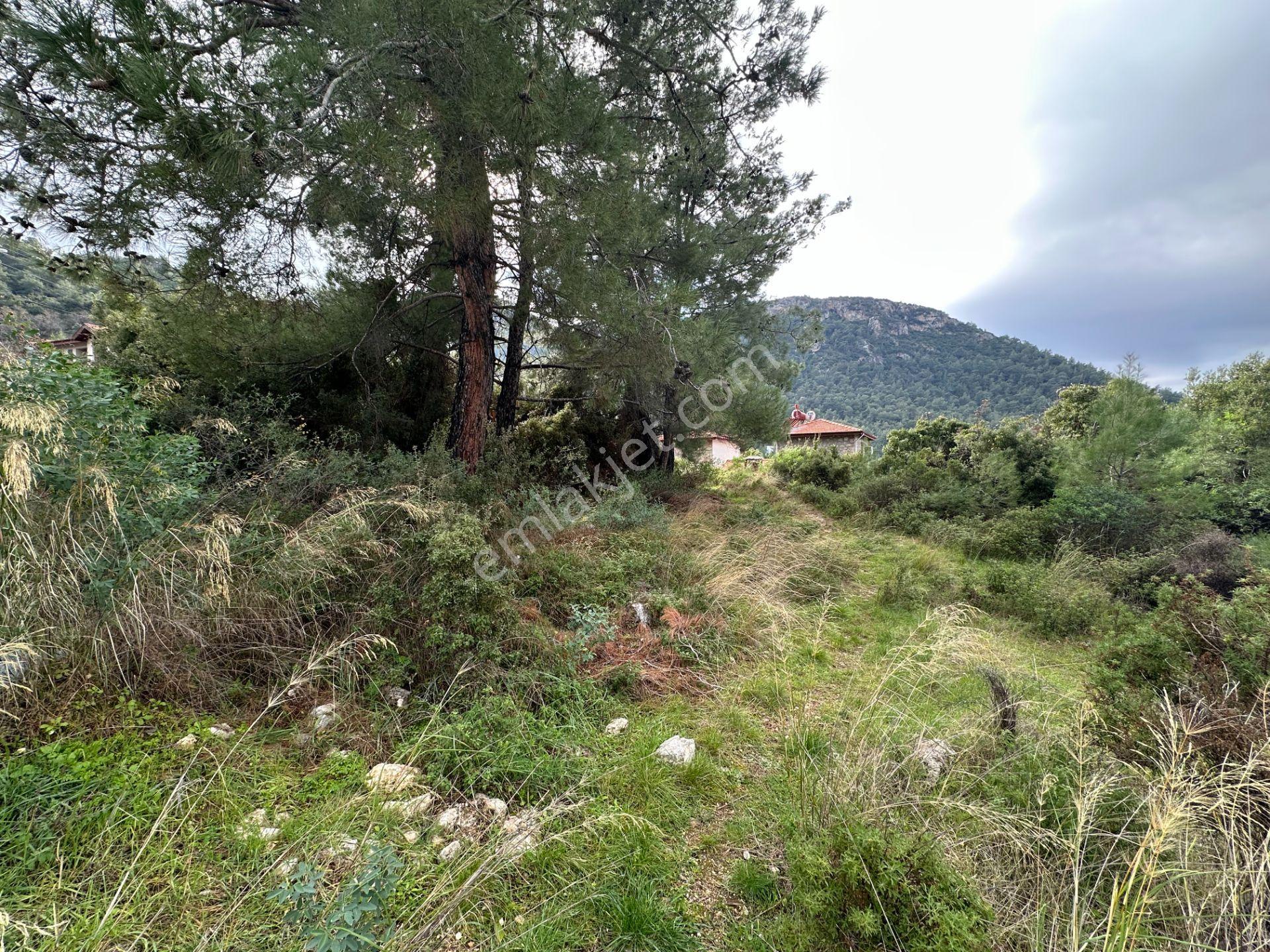 Goldhouse Dan Satılık Üzümlü De 20/40 İmarlı 500 M2 Arsa - Görsel 20