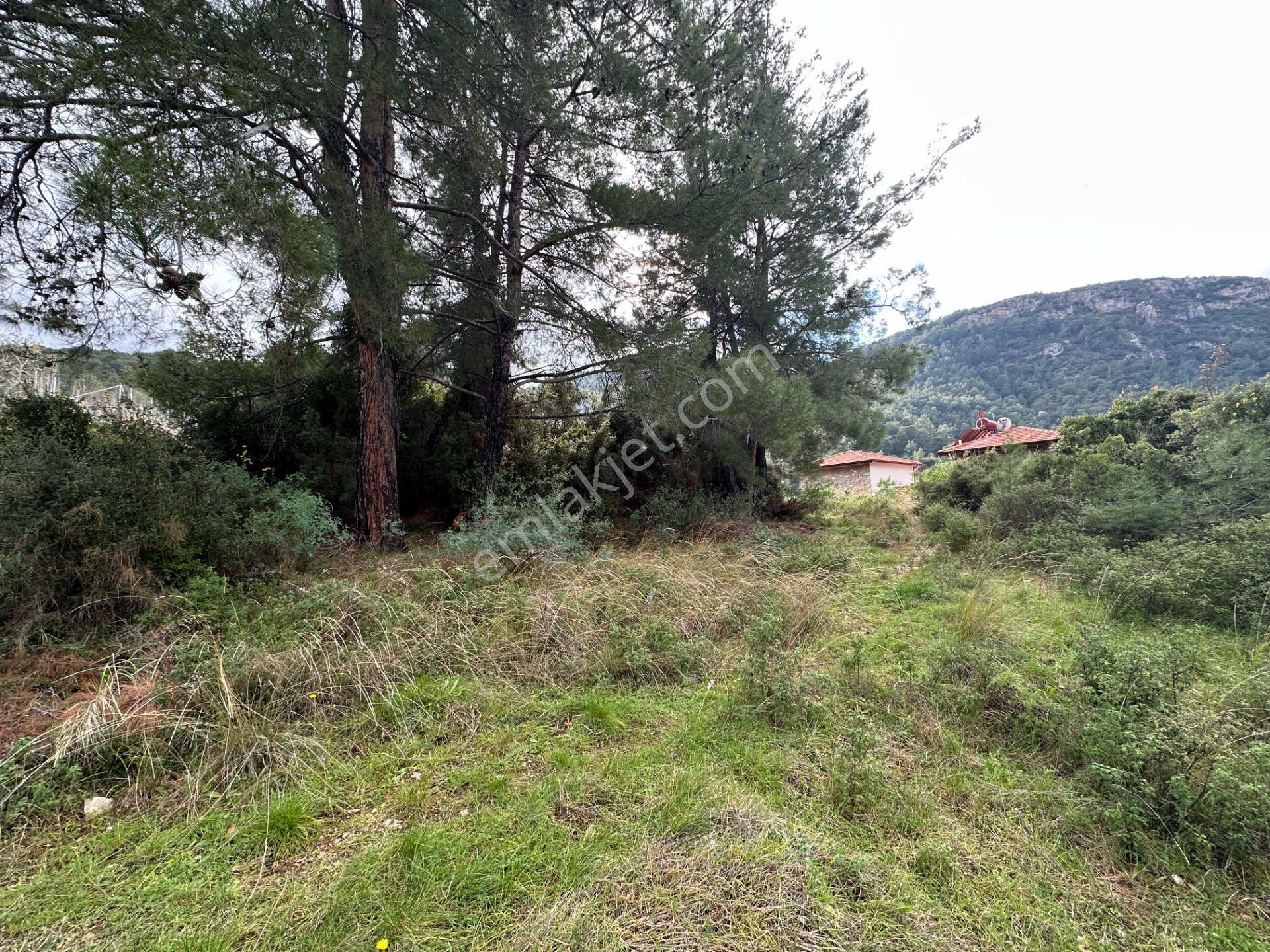 Goldhouse Dan Satılık Üzümlü De 20/40 İmarlı 500 M2 Arsa - Görsel 15
