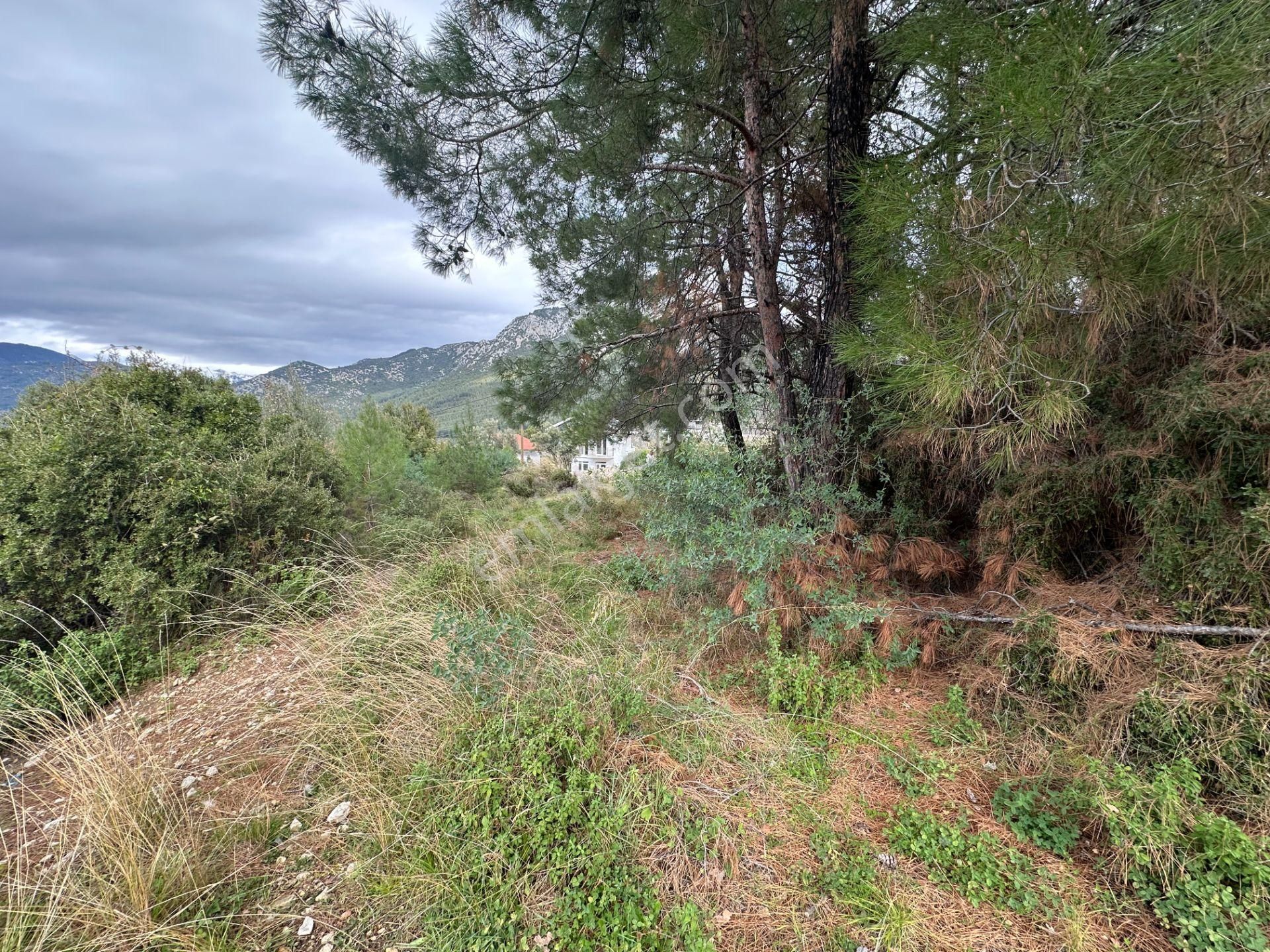 Goldhouse Dan Satılık Üzümlü De 20/40 İmarlı 500 M2 Arsa