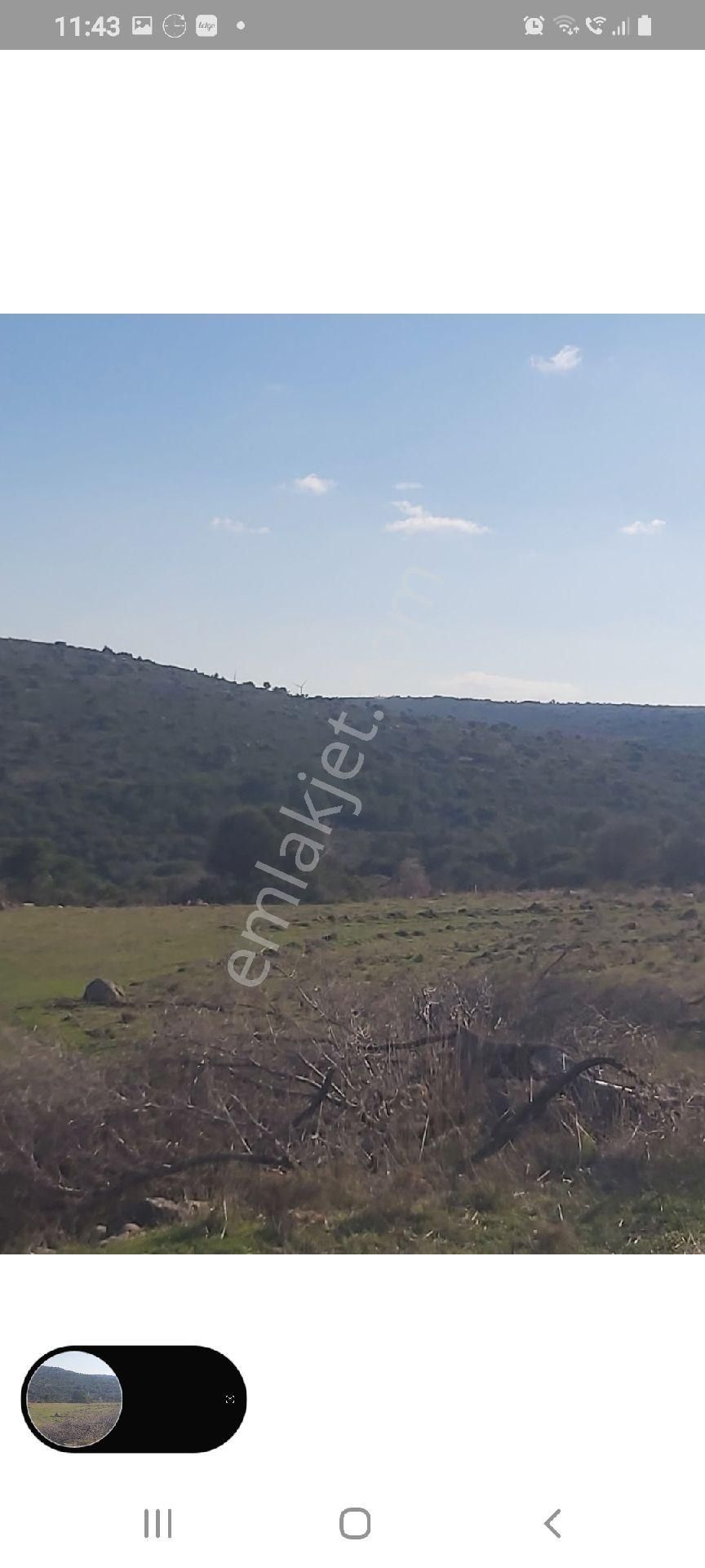 Çeşme Reisderede Satılık 14000m2 Tarla - Görsel 2