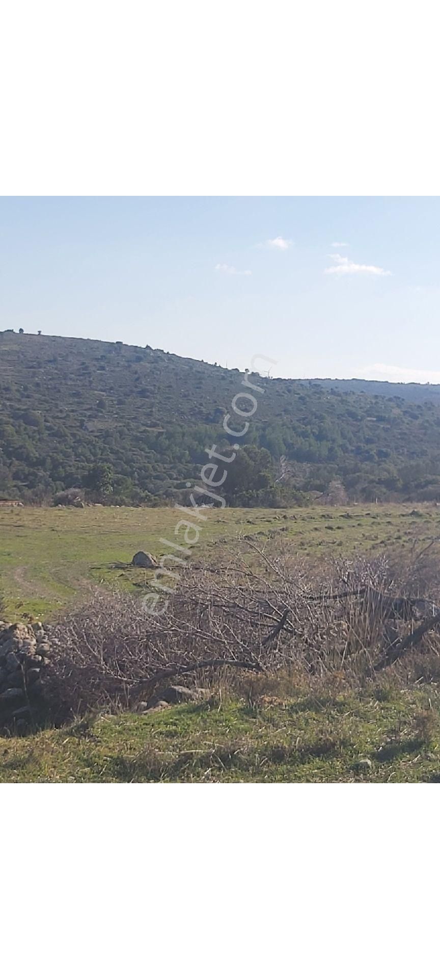 Çeşme Reisderede Satılık 14000m2 Tarla - Görsel 4