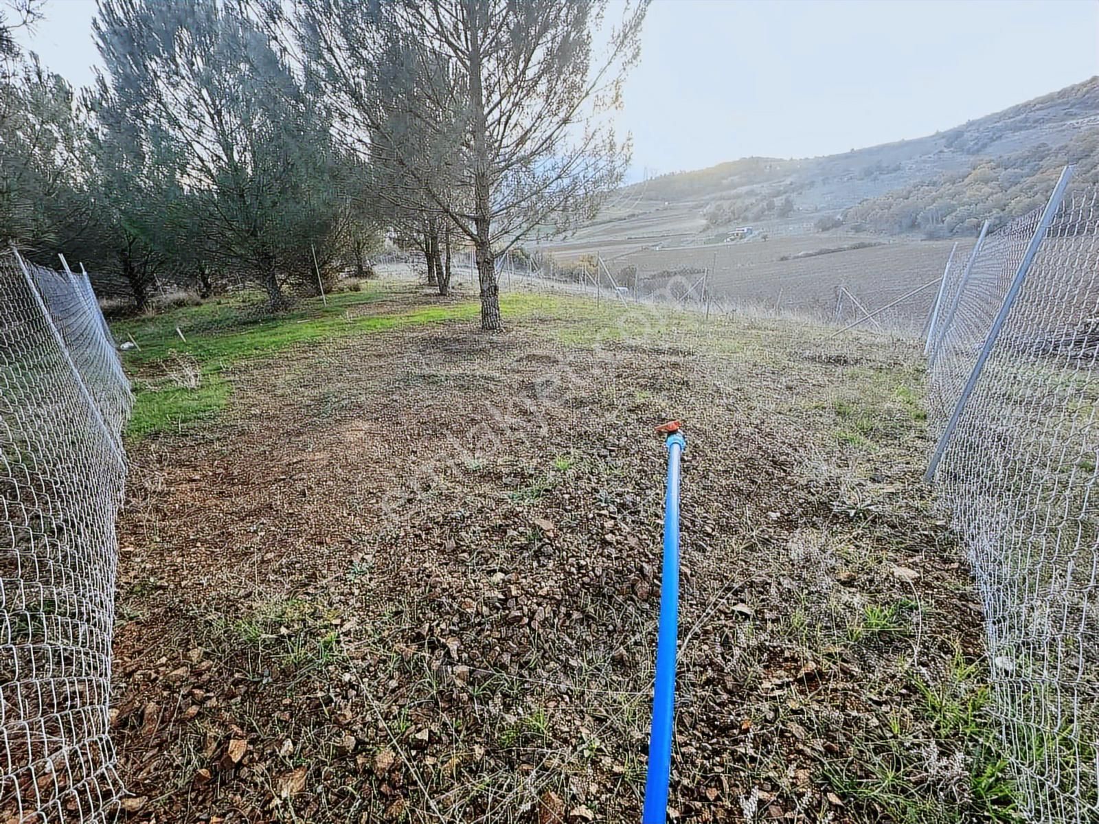 Yenişehir Marmaracıkta Satılık Tarla - Görsel 6