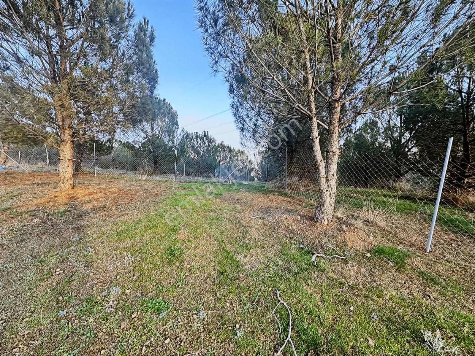 Yenişehir Marmaracıkta Satılık Tarla - Görsel 3