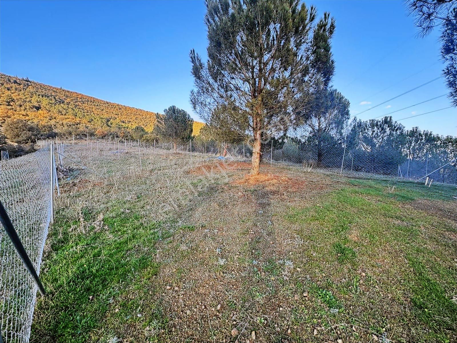 Yenişehir Marmaracıkta Satılık Tarla - Görsel 7