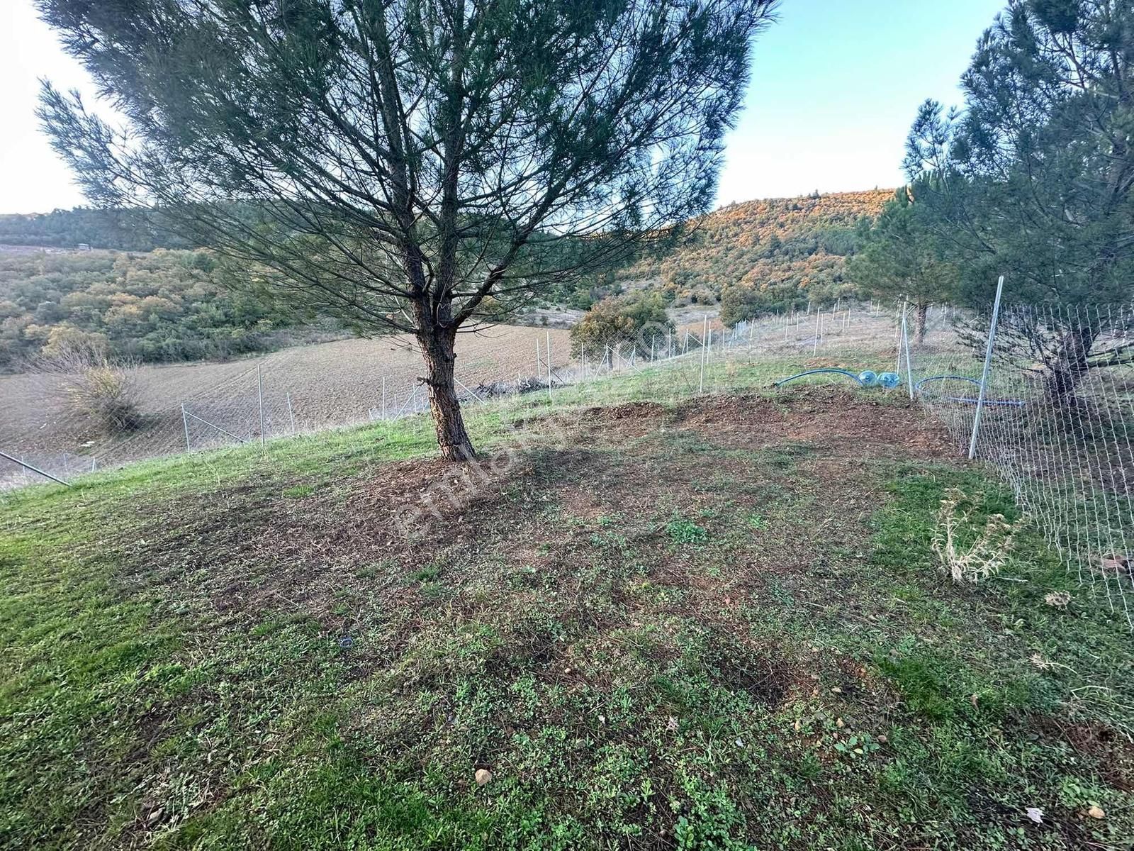 Yenişehir Marmaracıkta Satılık Tarla - Görsel 4