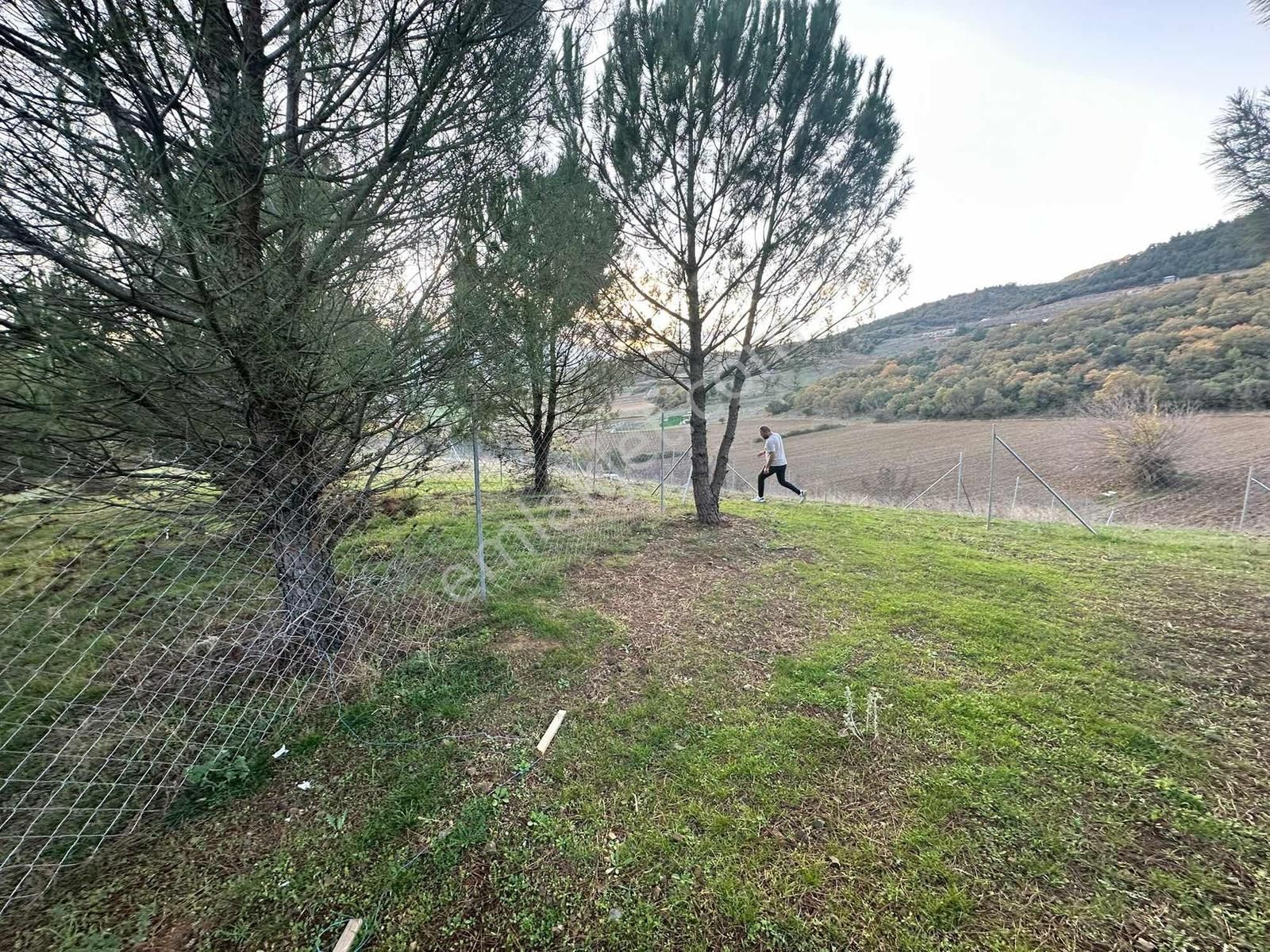 Yenişehir Marmaracıkta Satılık Tarla - Görsel 2