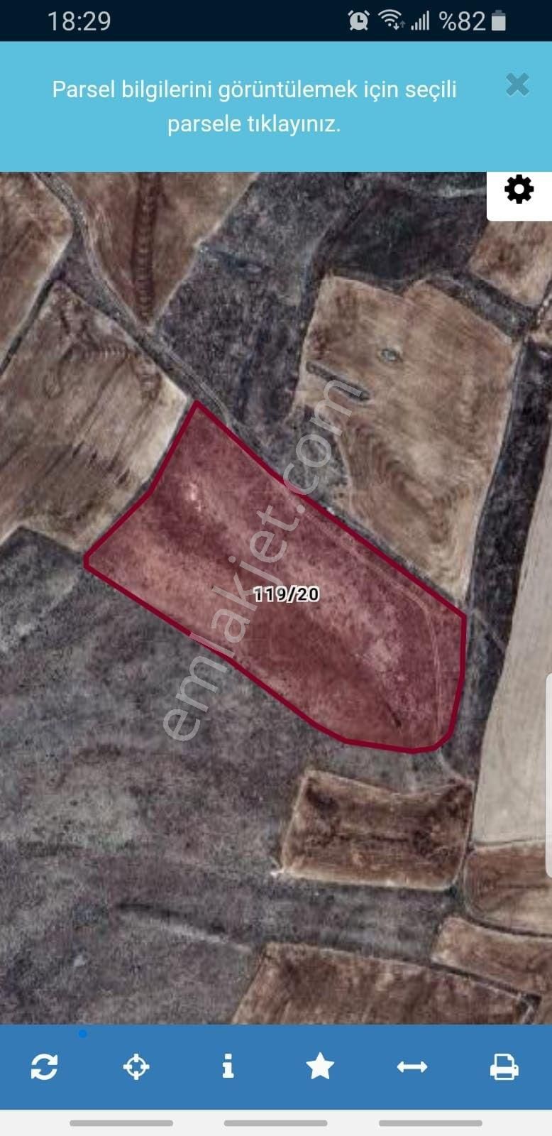 Afyonda Yolu Olan Dev Arazi Uygun Fiyata