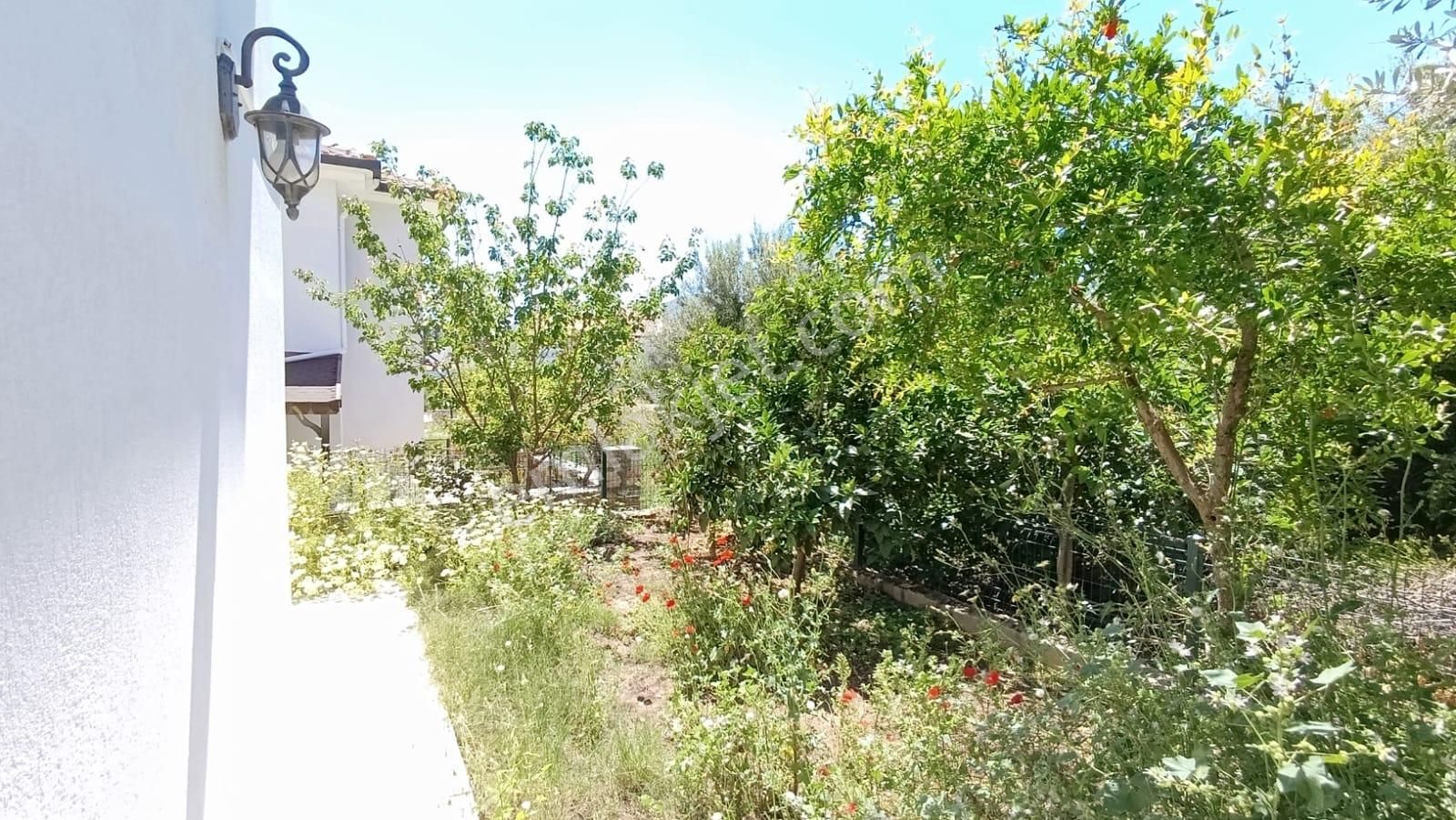 Datça'da Merkezde Kiralık Geniş Bahçeli 2+1 Tam Müstakil Ev - Görsel 2