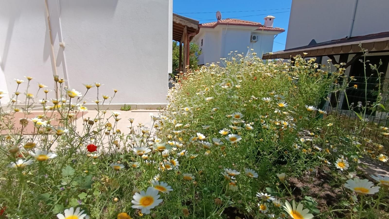 Datça'da Merkezde Kiralık Geniş Bahçeli 2+1 Tam Müstakil Ev - Görsel 3