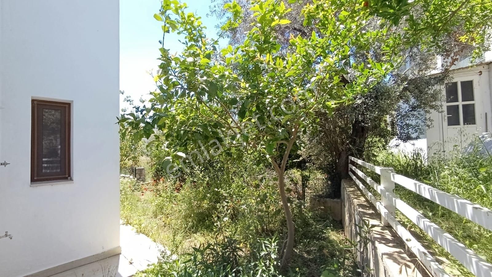 Datça'da Merkezde Kiralık Geniş Bahçeli 2+1 Tam Müstakil Ev - Görsel 4