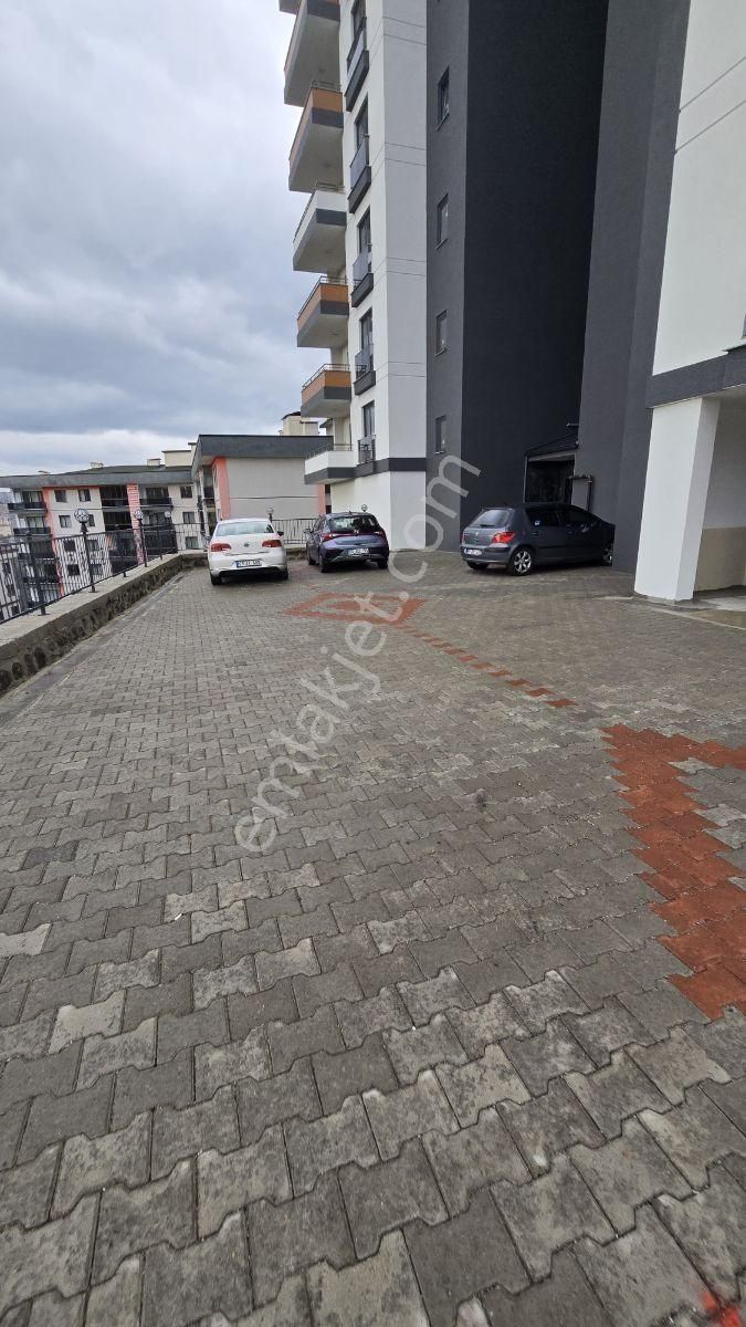 Üniversite Mah. 1+1 4.kat Kiralık Sıfır Daire - Görsel 7