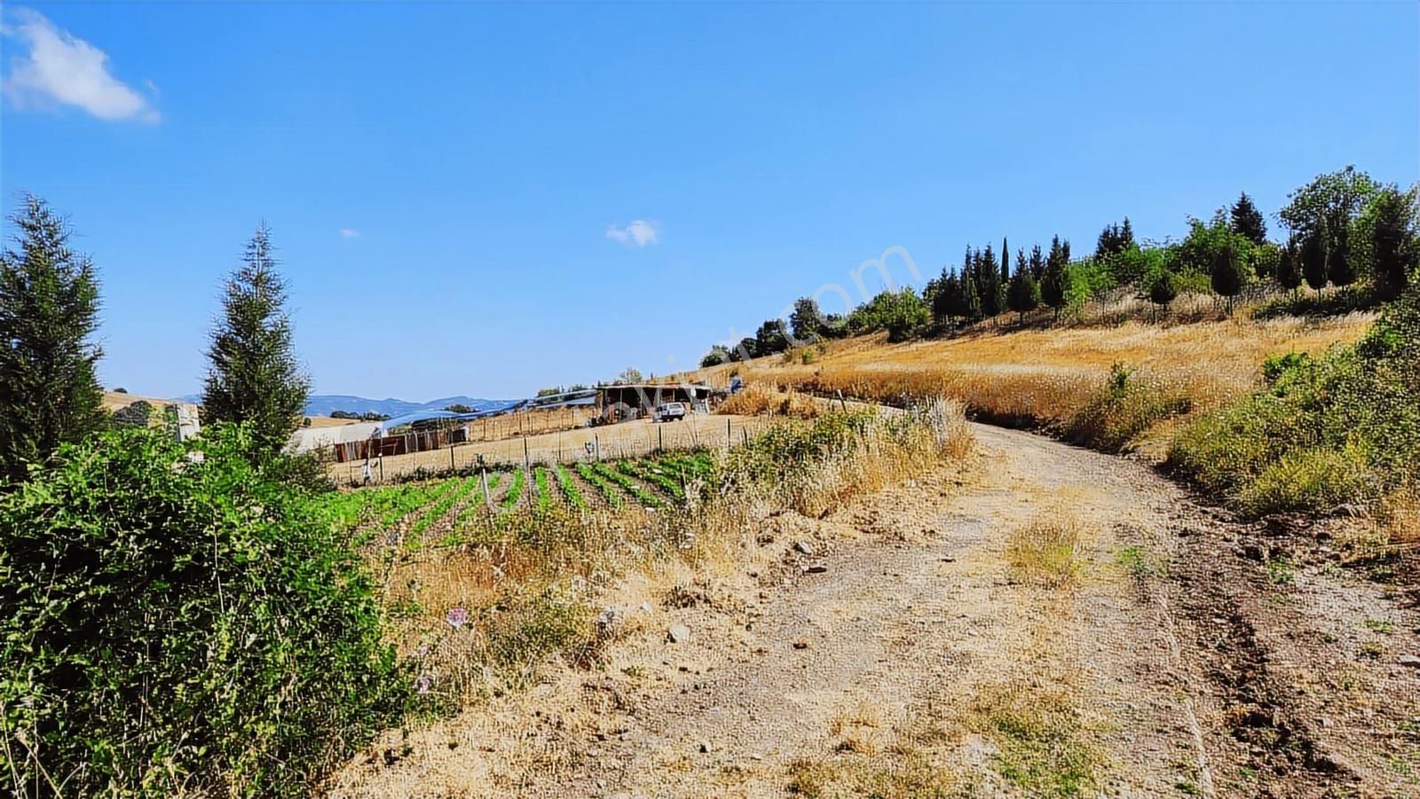 Deniz Gayrimenkul'den Kızderbentte %5 İmarlı Tarla - Görsel 4
