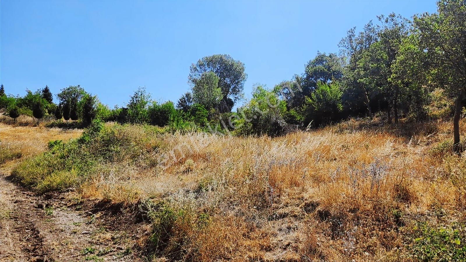 Deniz Gayrimenkul'den Kızderbentte %5 İmarlı Tarla - Görsel 2