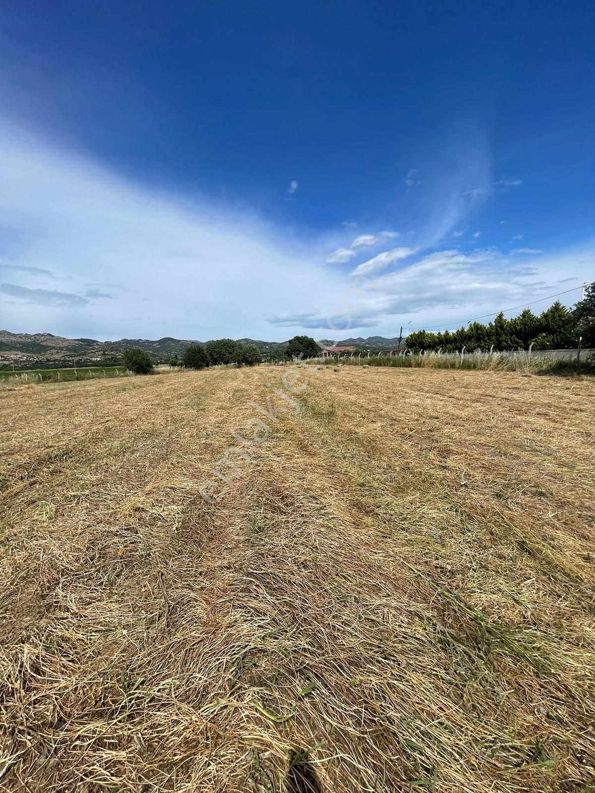 İzmir Dikili Salihleraltı Çanakkale Yoluna Sıfır Satılık Tarla - Görsel 24