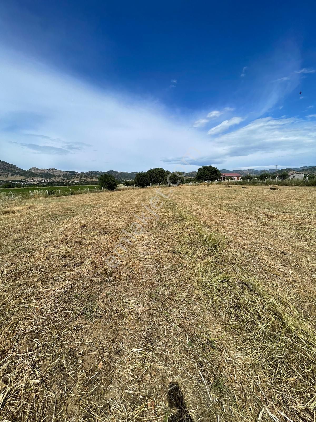 İzmir Dikili Salihleraltı Çanakkale Yoluna Sıfır Satılık Tarla - Görsel 27