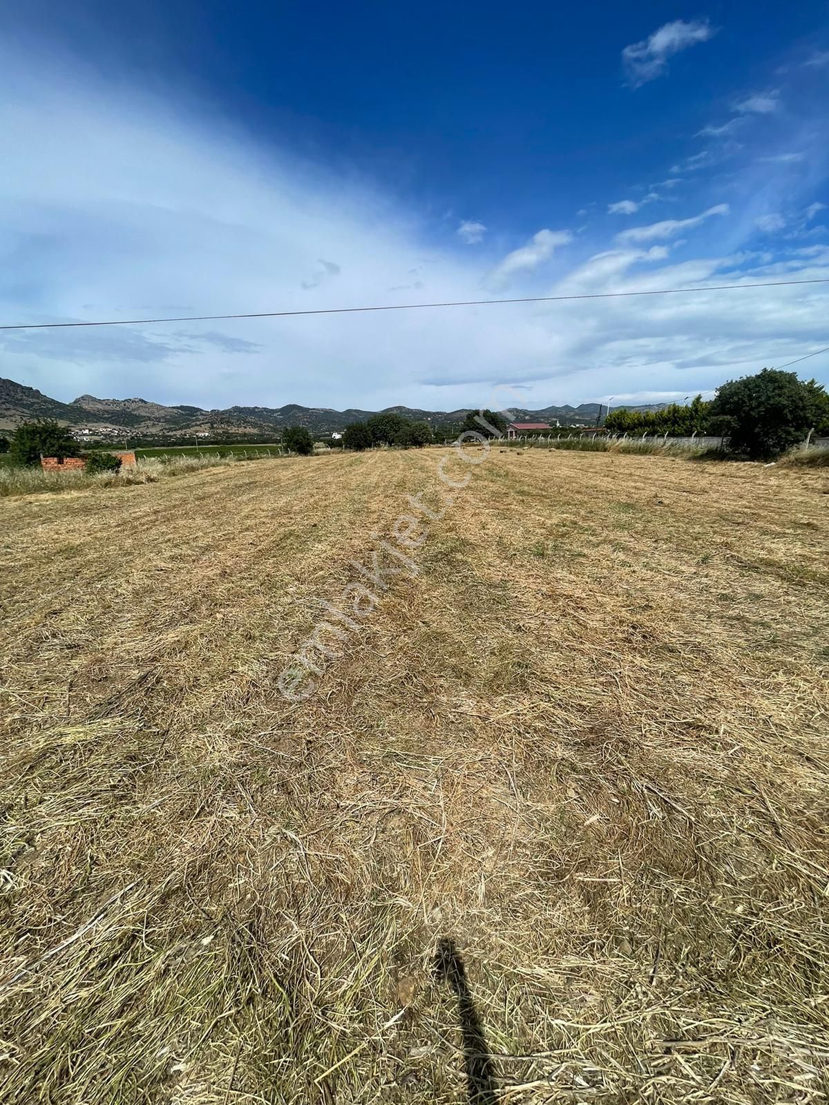 İzmir Dikili Salihleraltı Çanakkale Yoluna Sıfır Satılık Tarla - Görsel 16