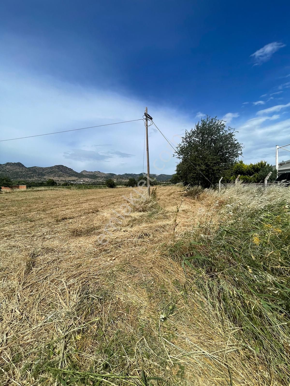 İzmir Dikili Salihleraltı Çanakkale Yoluna Sıfır Satılık Tarla - Görsel 15