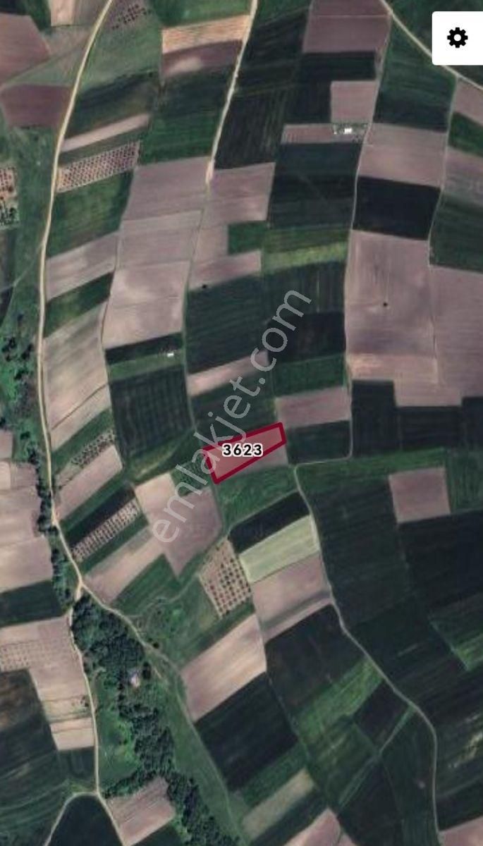 Selçuklu'dan Karakoca'da Yerleşime Yakın Yola Cephe Fırsat - Görsel 3