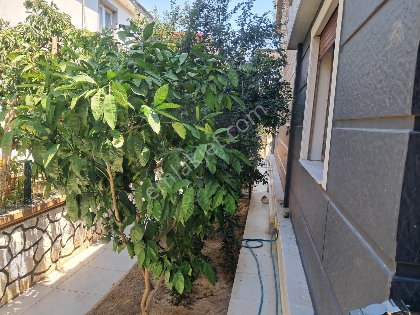 İzmir Seferihisar Payamlı’da 2+1 Bahçeli Satılık Dubleks Yazlık Villa - Görsel 31