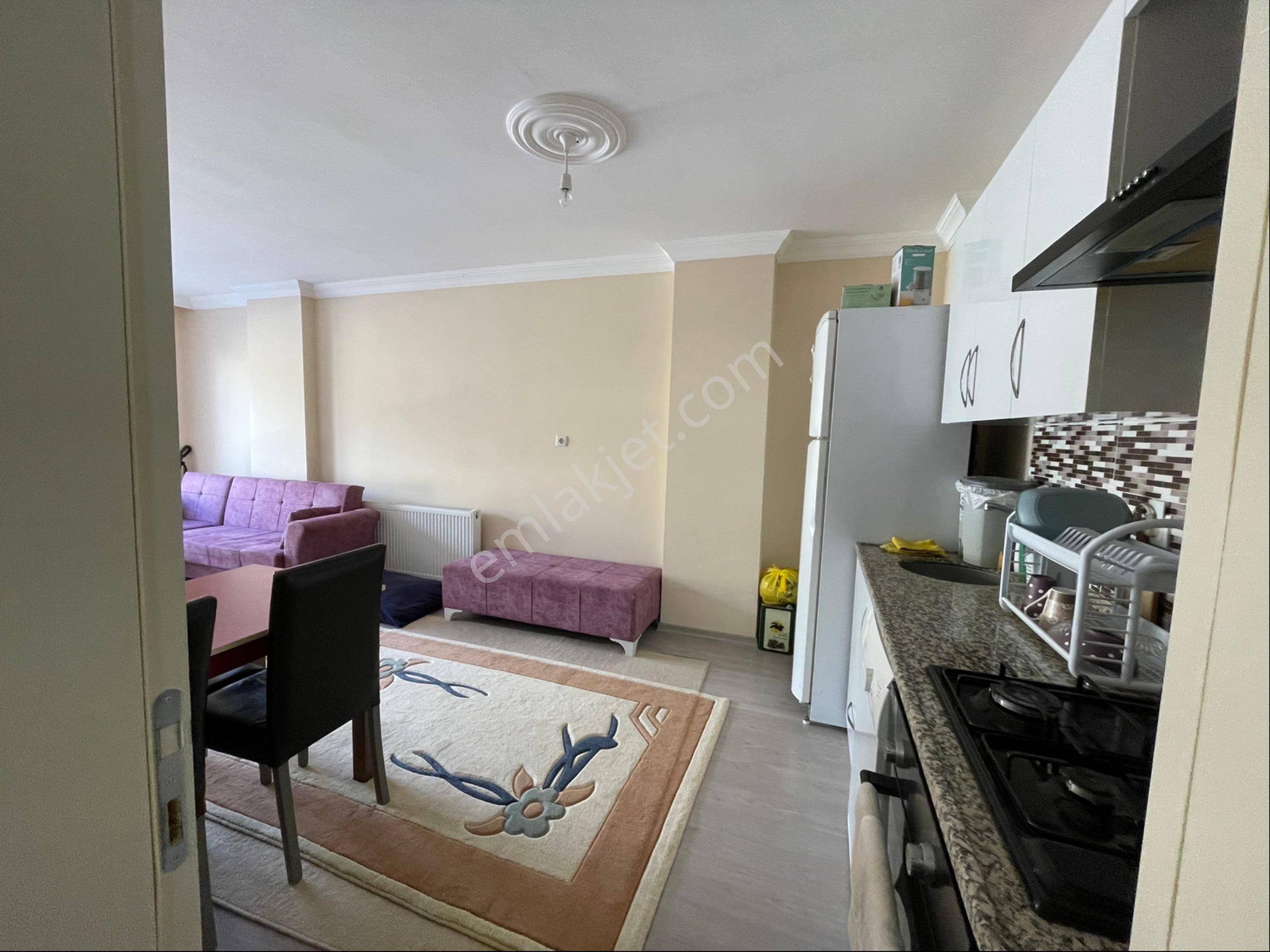 Düzce Garyrümenkulden Satılık Büyük 1+1 Büyük Kapalı Balkonlu Daire - Görsel 3