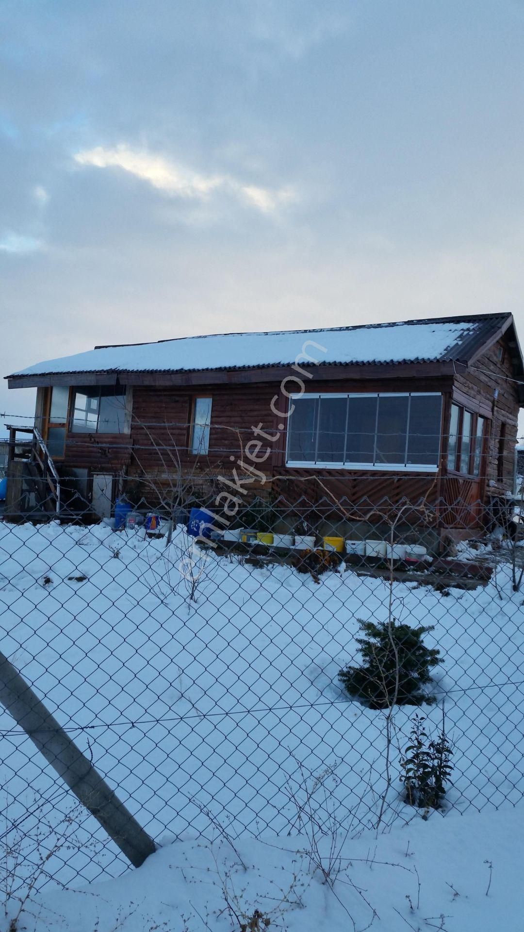 Sahibinden 2 Dönüm Acil Satılık Hobi Bahçesi - Görsel 5