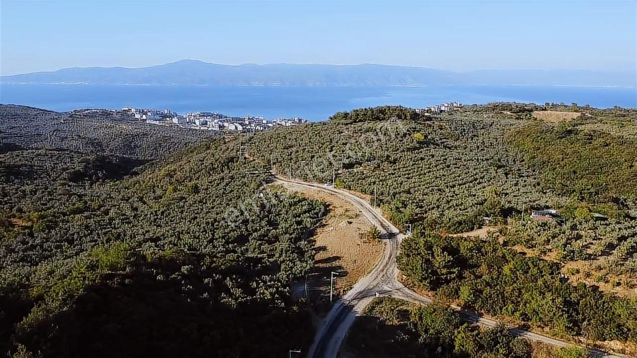 Akram'dan Halitpaşa'da Deniz Manzaralı Asfalta Cephe Arazi - Görsel 7