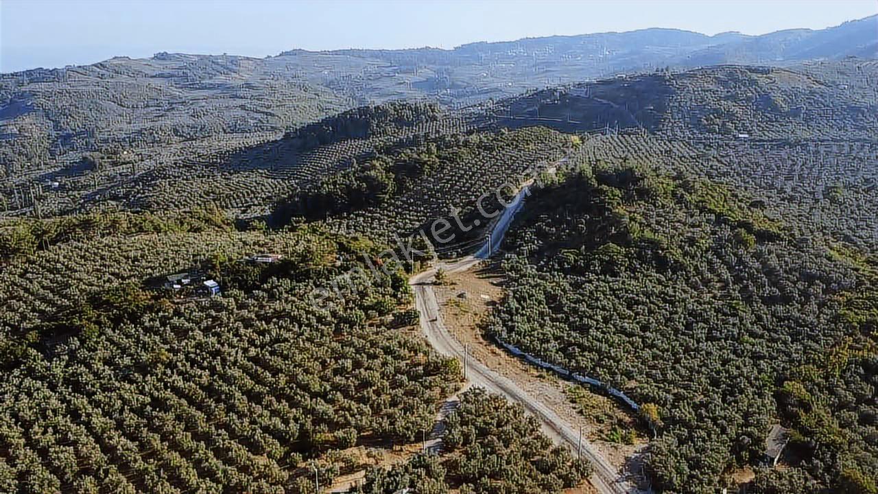 Akram'dan Halitpaşa'da Deniz Manzaralı Asfalta Cephe Arazi - Görsel 5