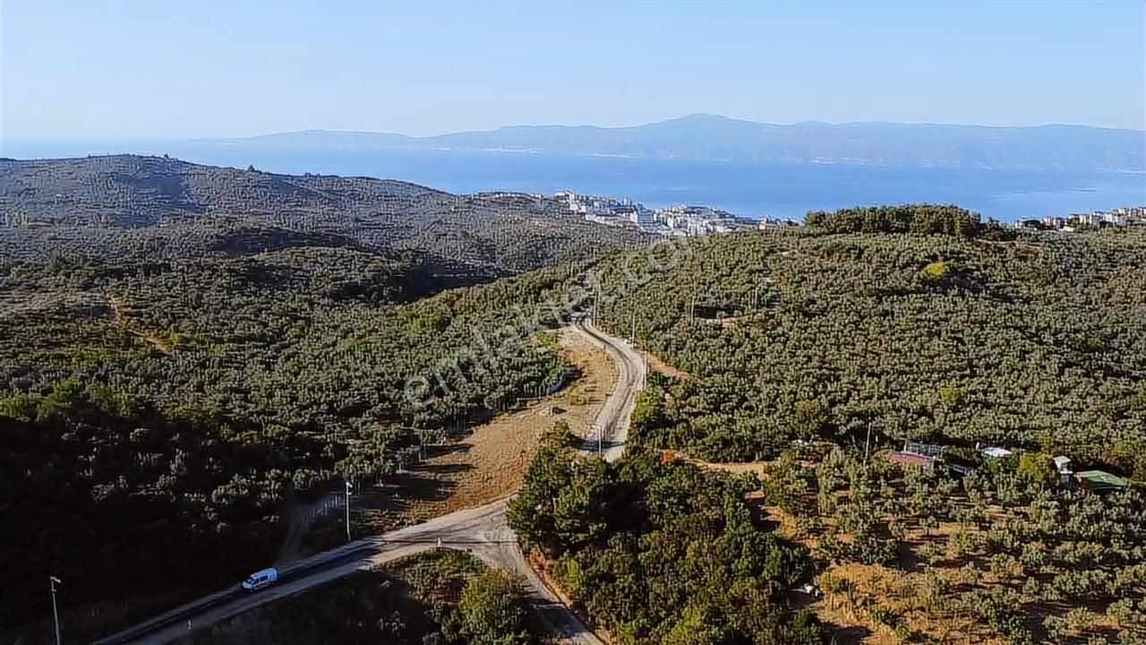 Akram'dan Halitpaşa'da Deniz Manzaralı Asfalta Cephe Arazi - Görsel 2