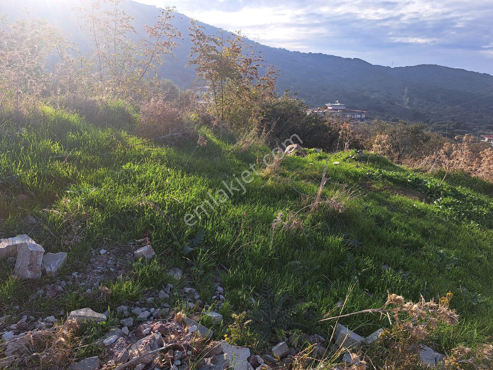 Dikili Nebiler Köyünde İmarlı Arsa - Görsel 4