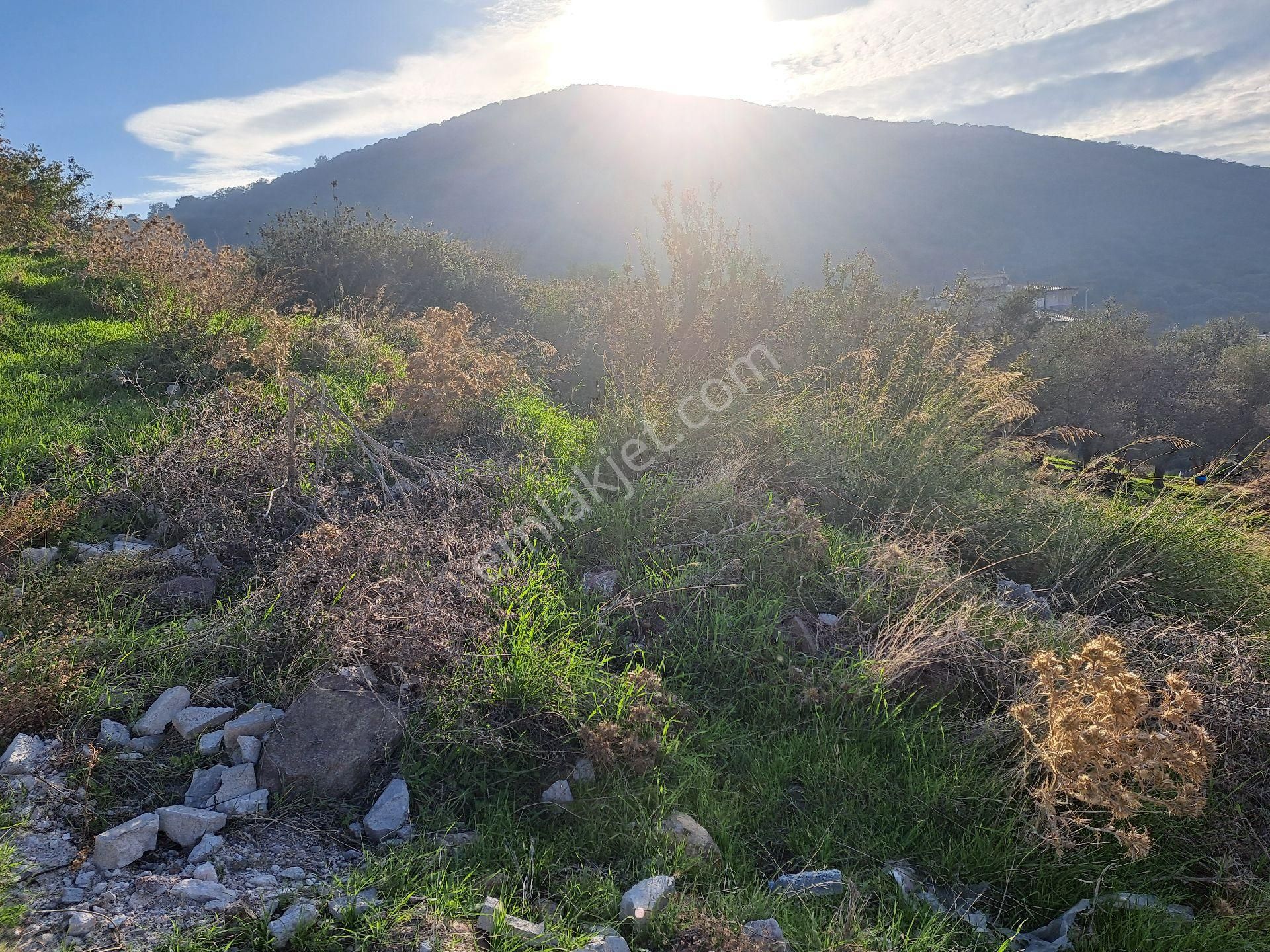 Dikili Nebiler Köyünde İmarlı Arsa - Görsel 7